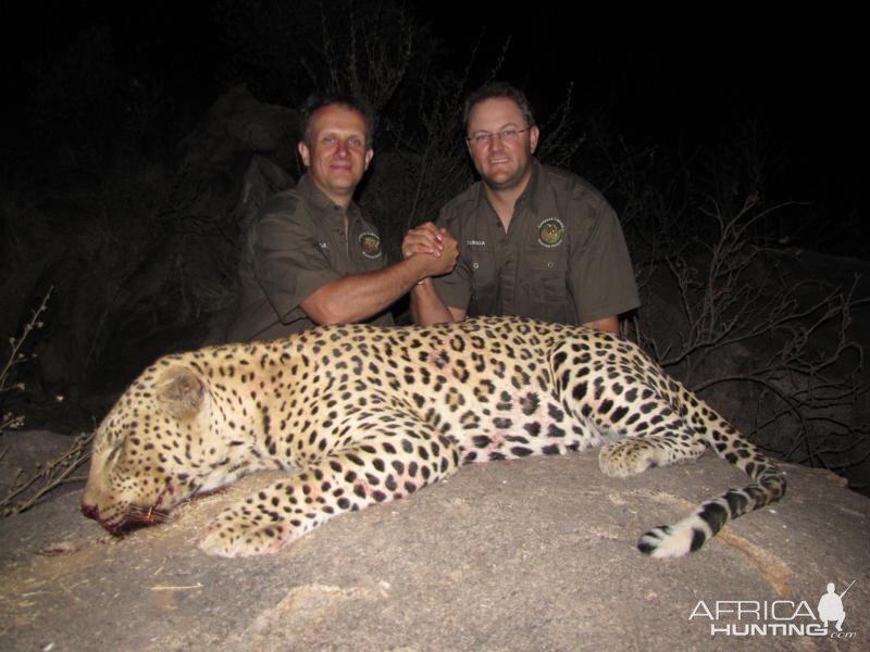 Namibia Hunting Leopard