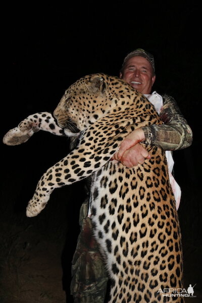 Namibia Hunting Leopard