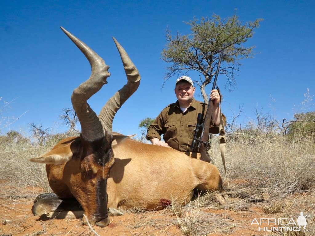 Namibia Hunting Red Hartebeest