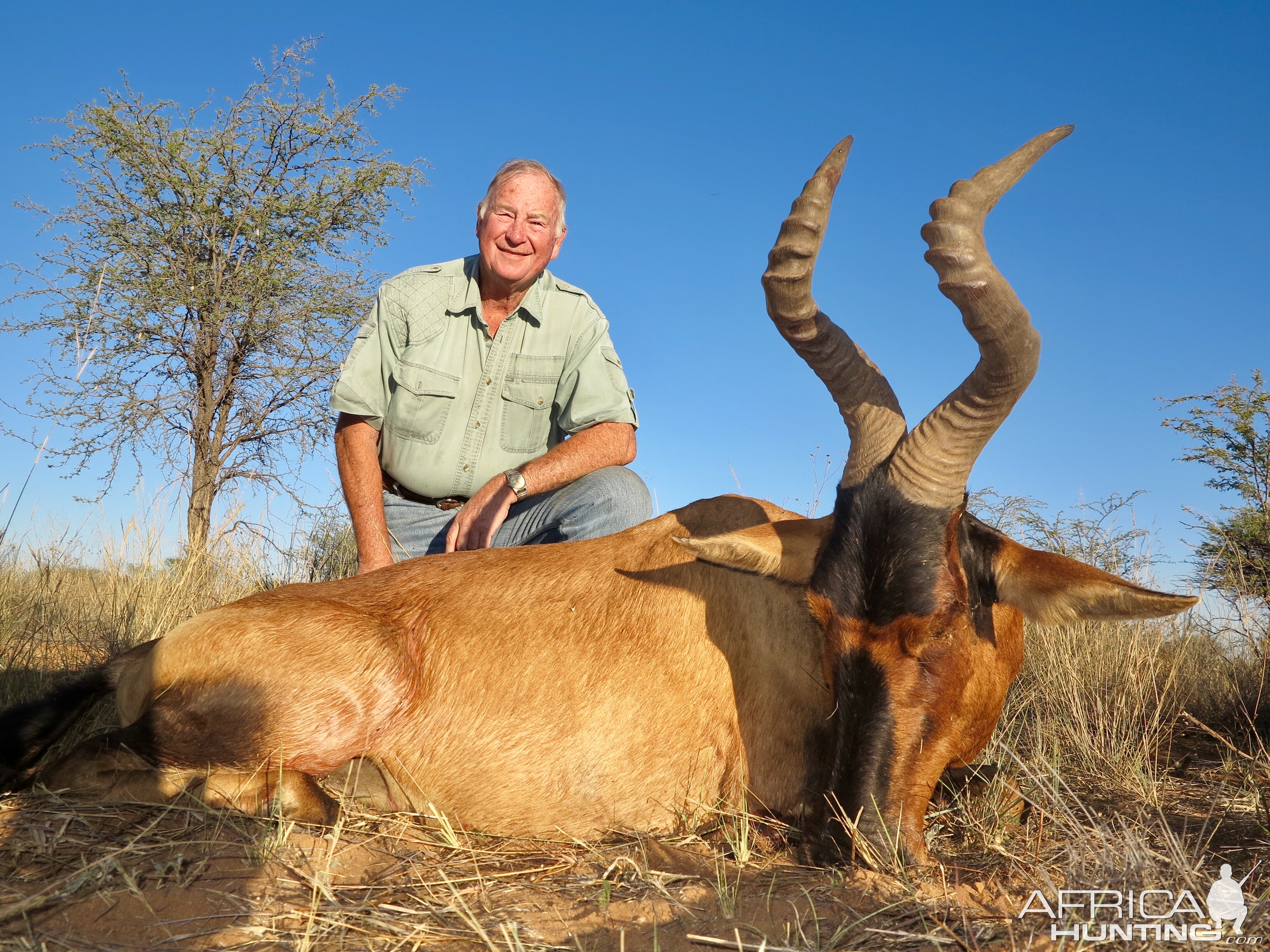 Namibia Hunting Red Hartebeest