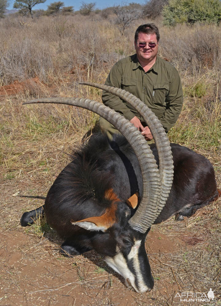Namibia Hunting Sable Antelope
