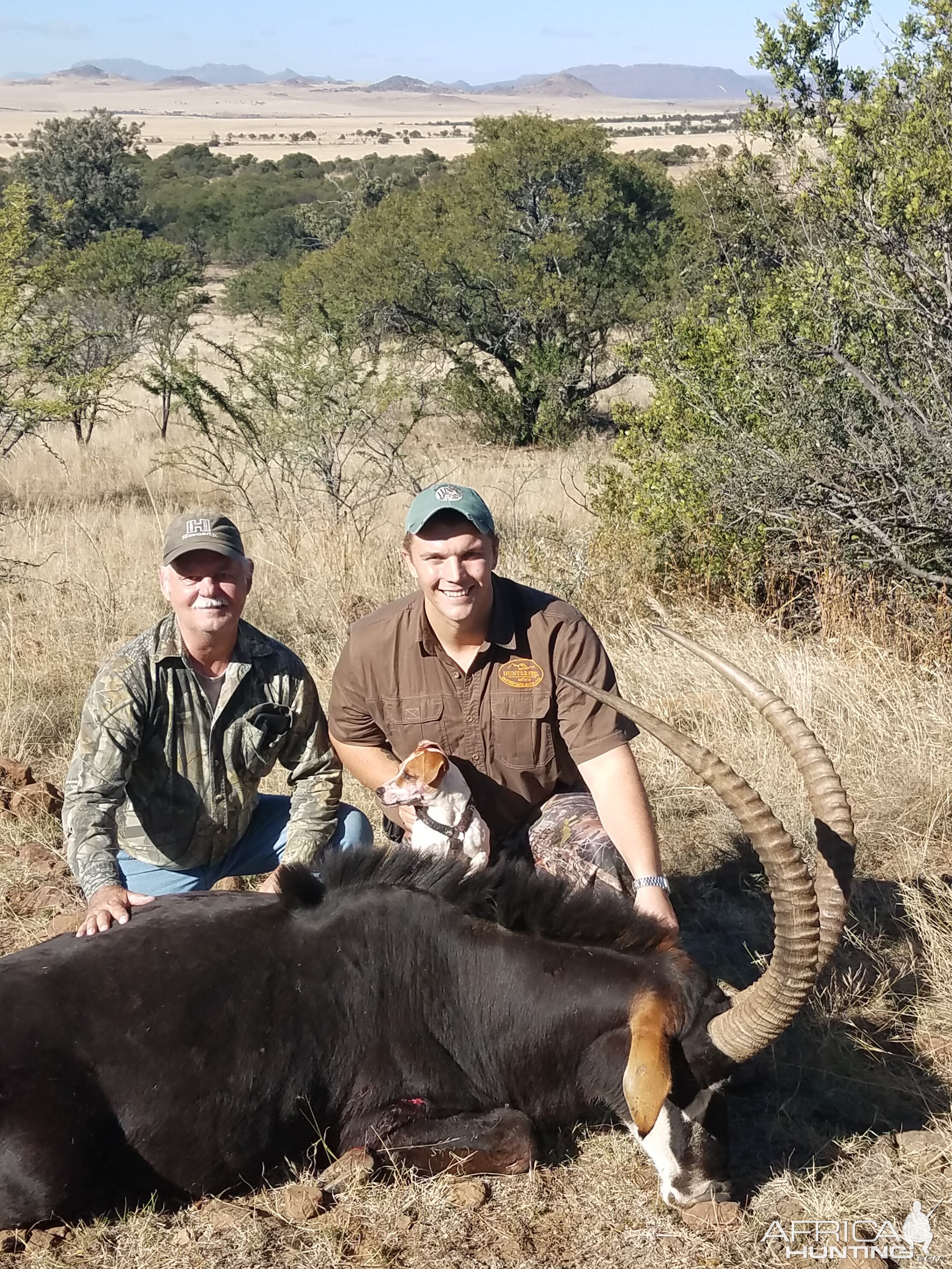 Namibia Hunting Sable Antelope