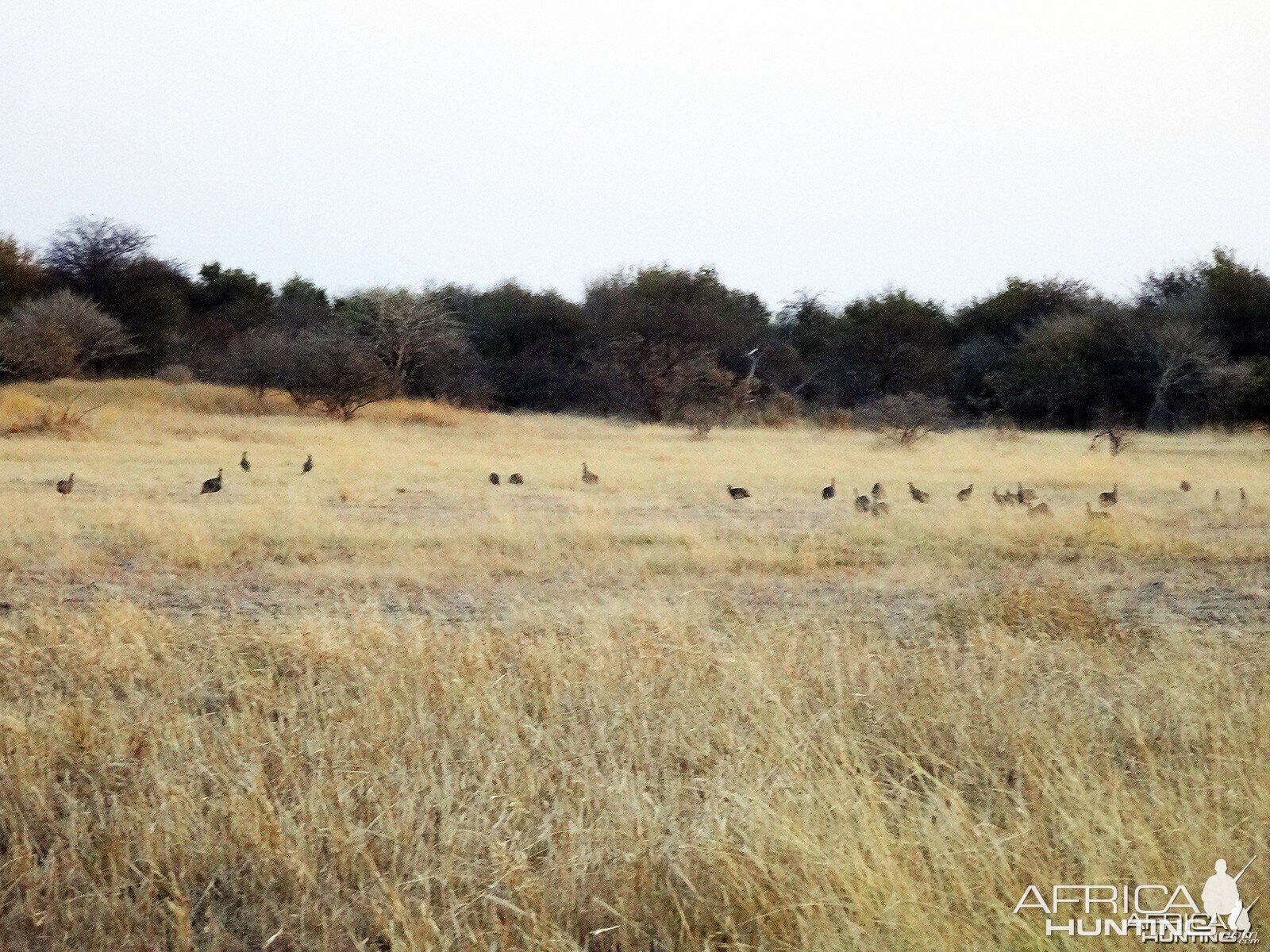 Namibia, July 2014