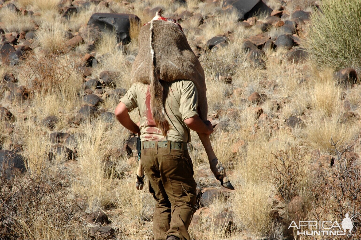 Namibia Kudu Hunt