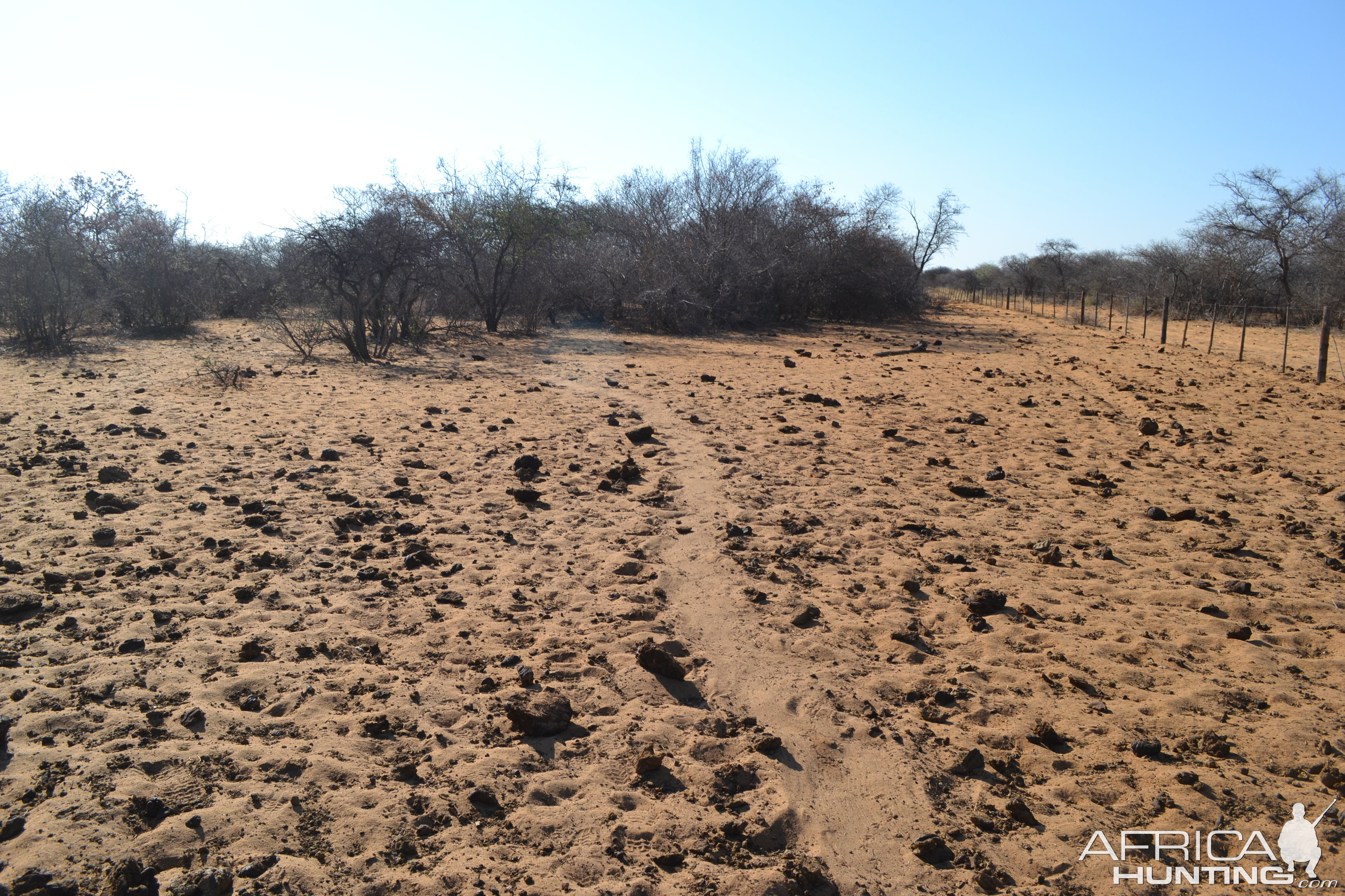 Namibia Landscape