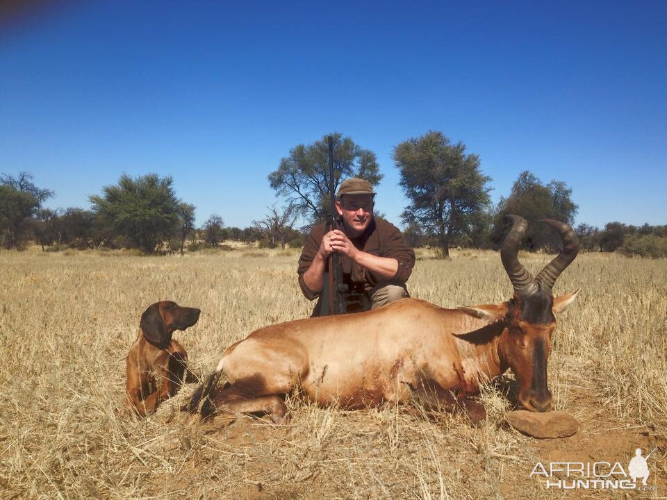 Namibia Red Hartebeest Hunt