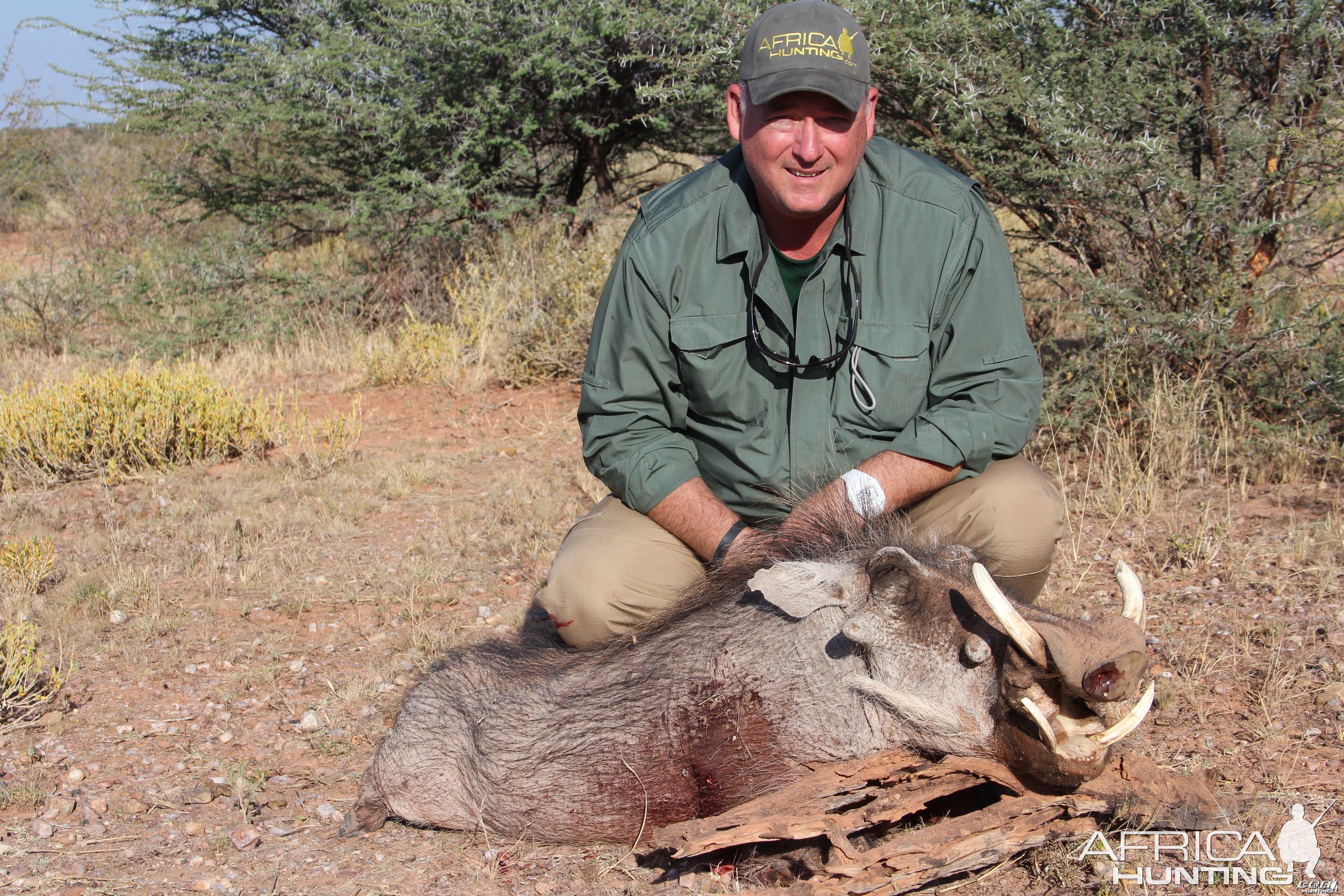 Namibia warthog