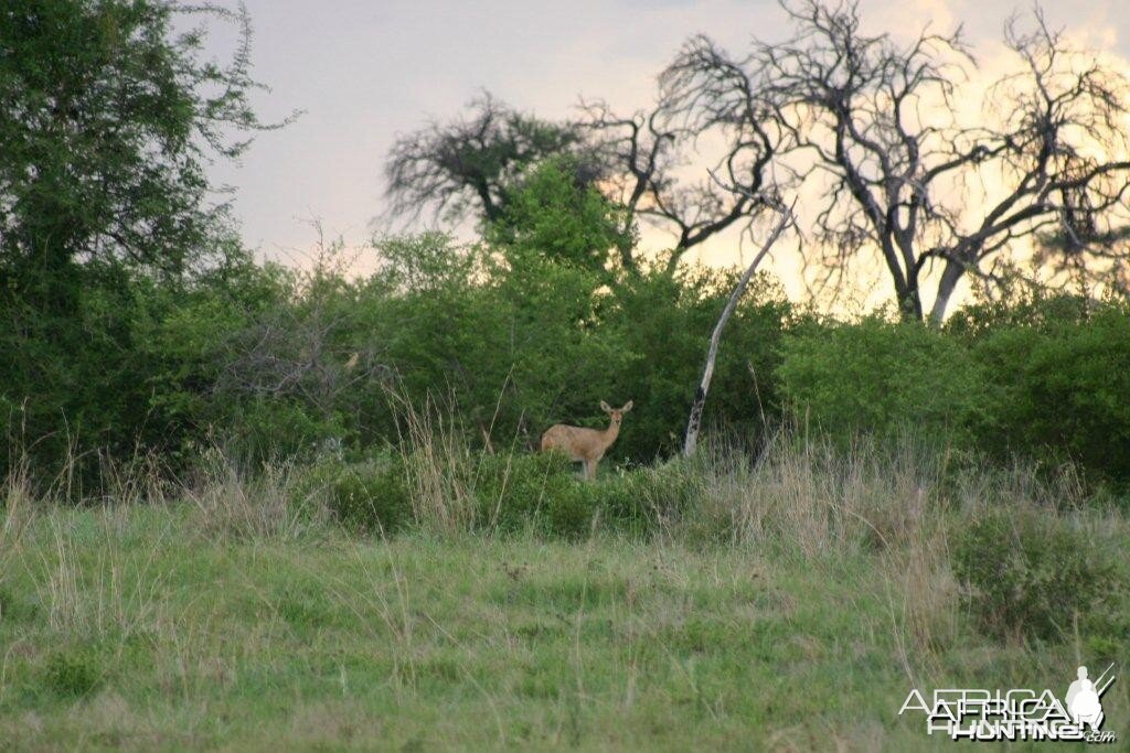 Namibia