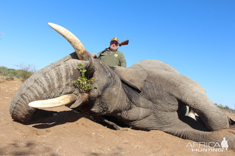 Namibian Elephant