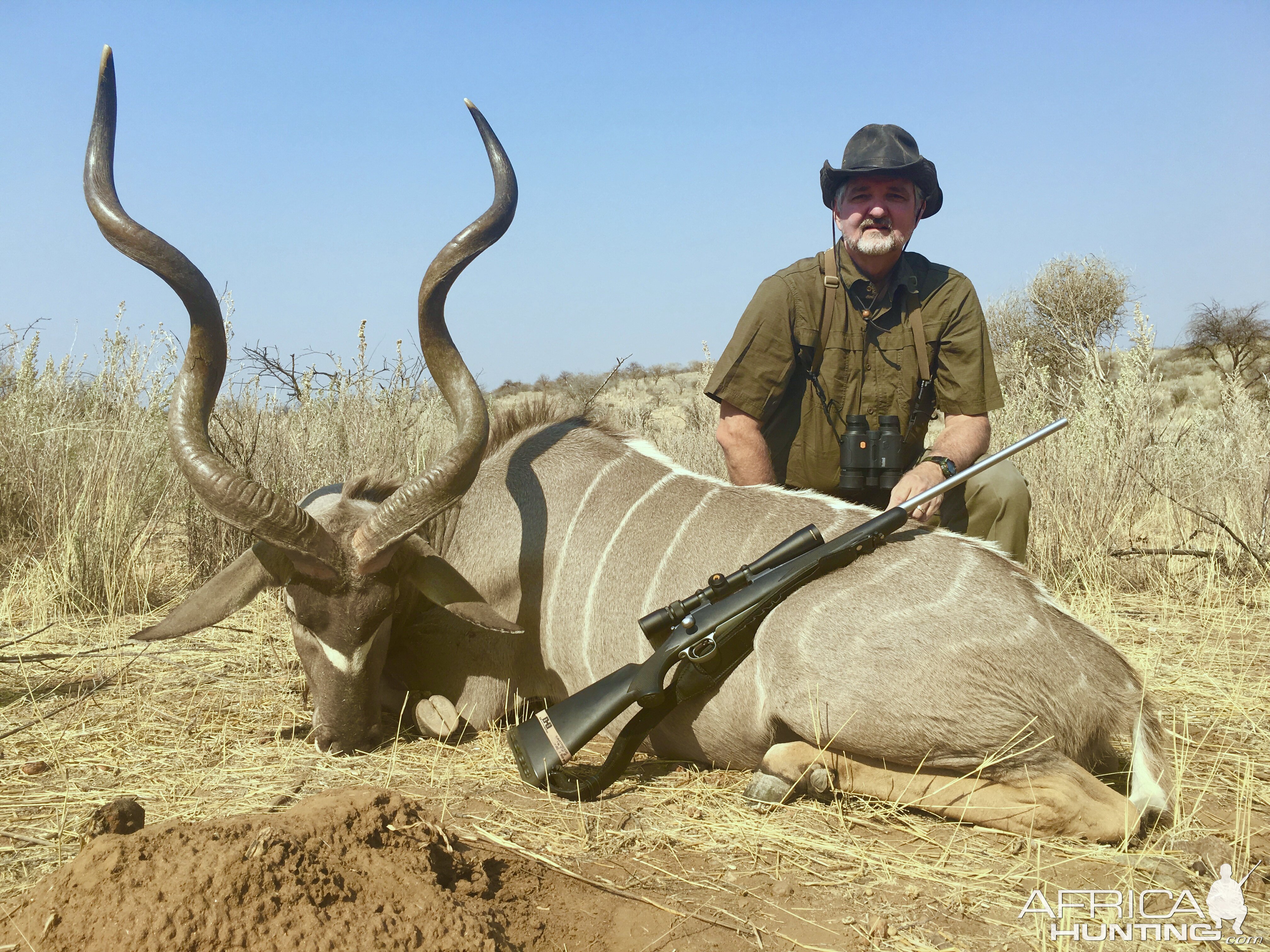 Namibian kudu