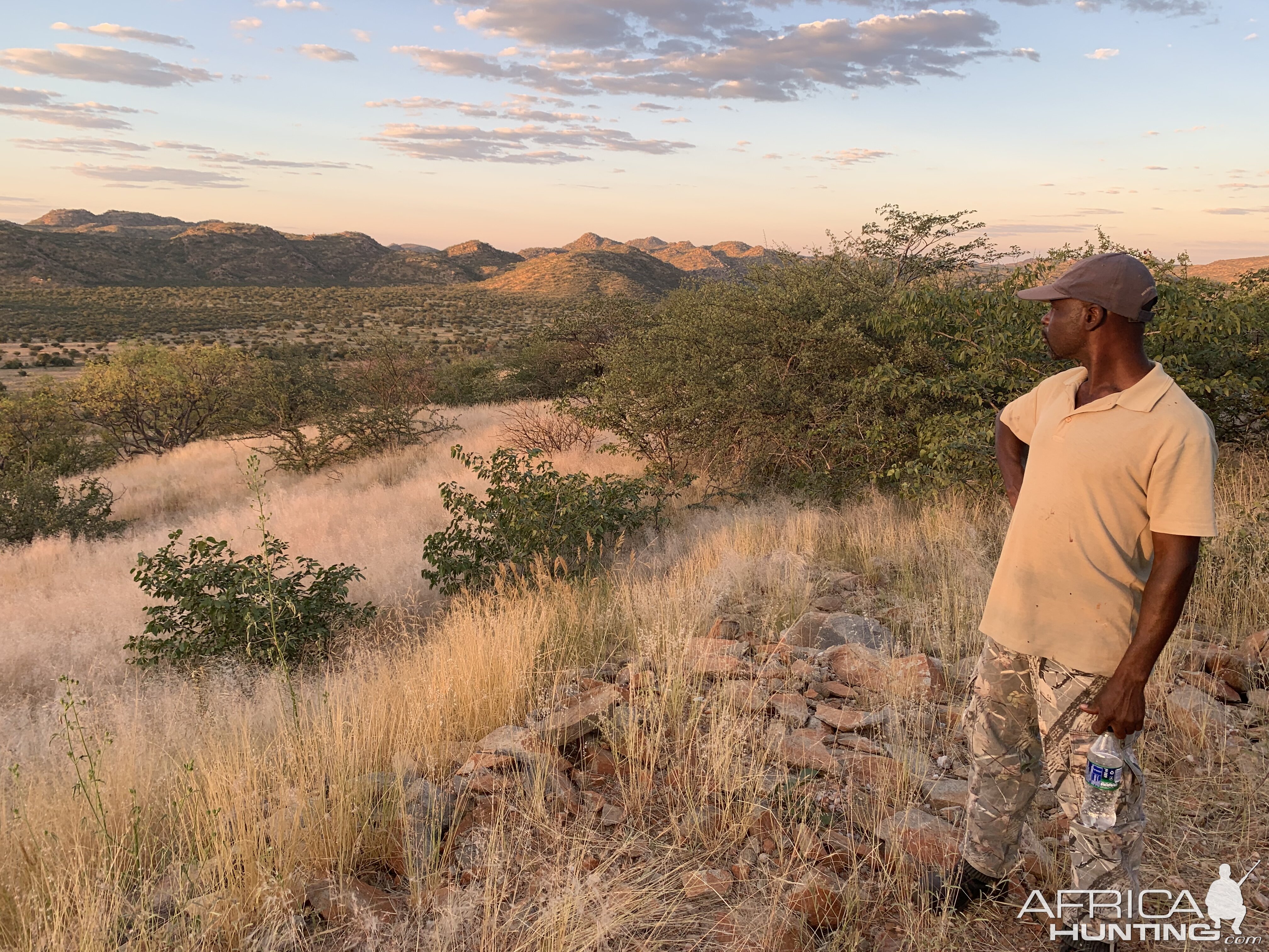 Namibian Nature