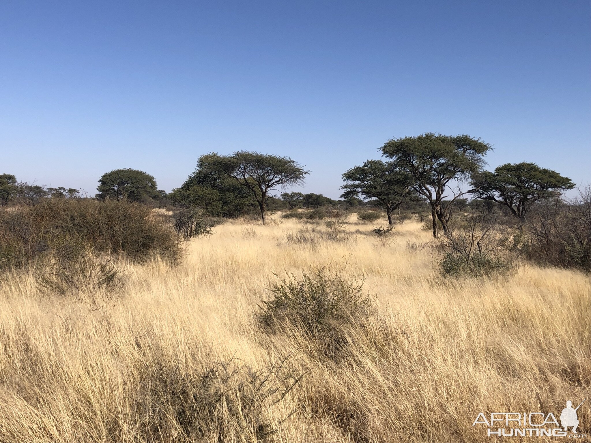 Namibian Nature