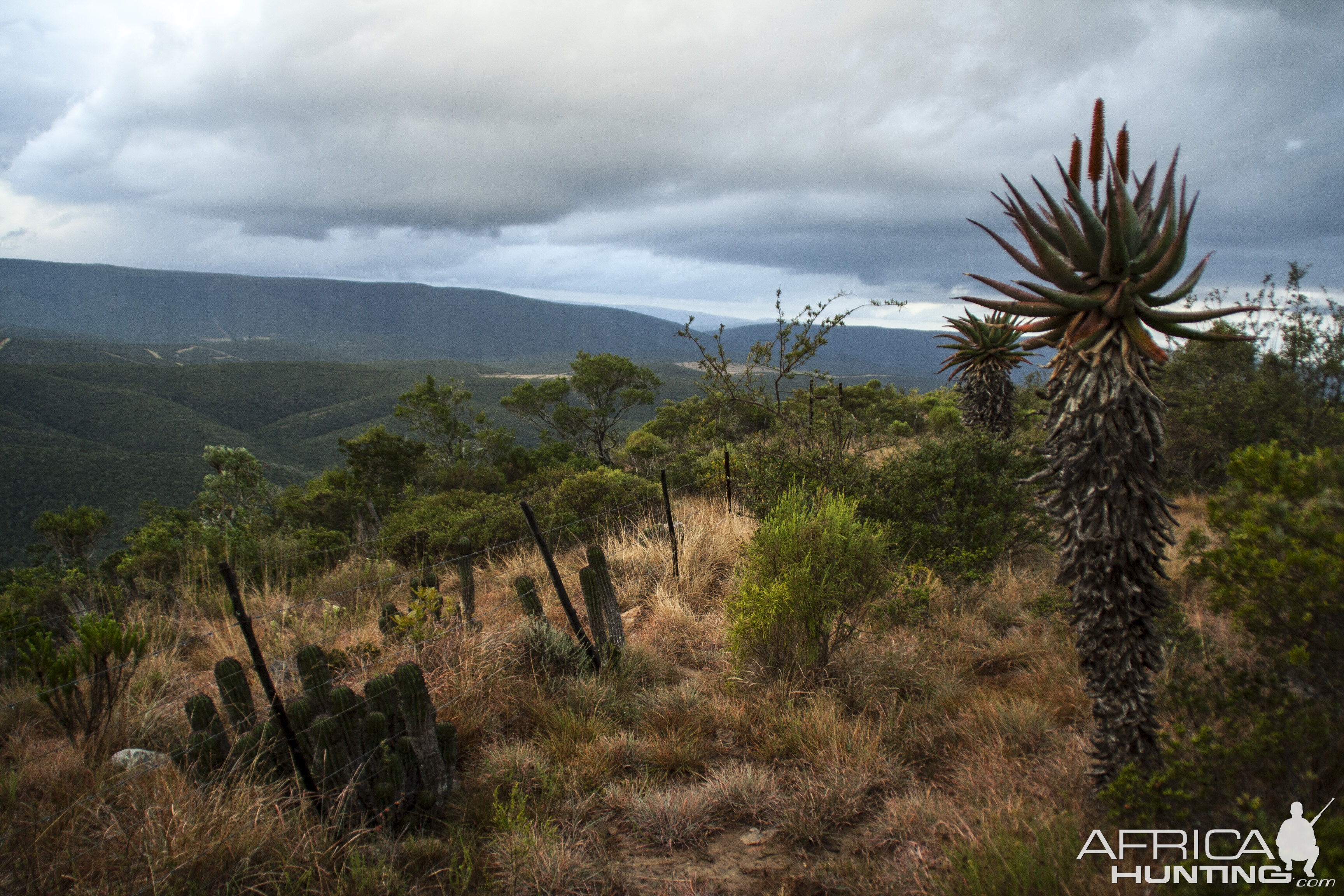 Nature Photo of Tootabi Hunting Safaris from mountain