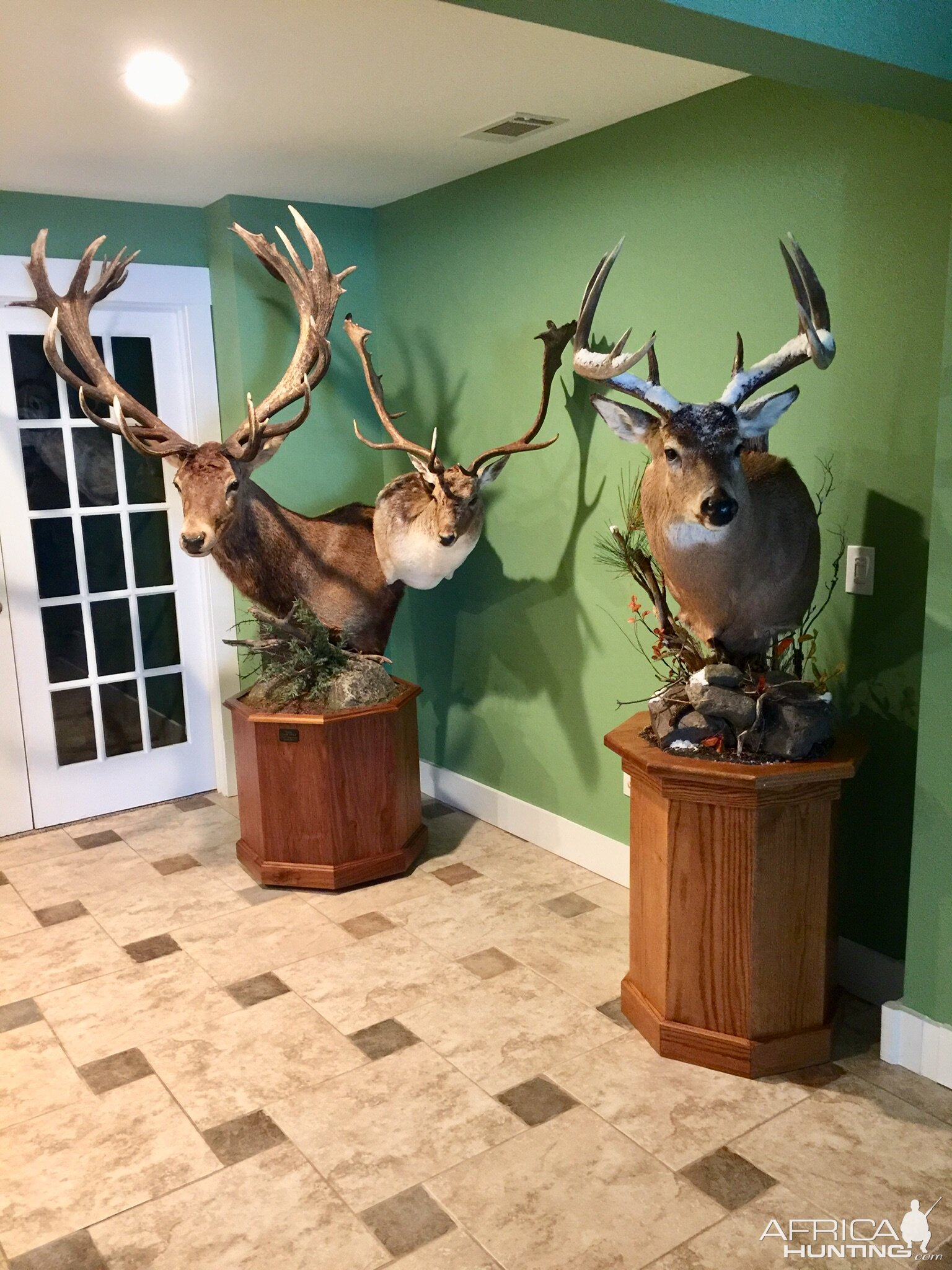 New Trophy Room