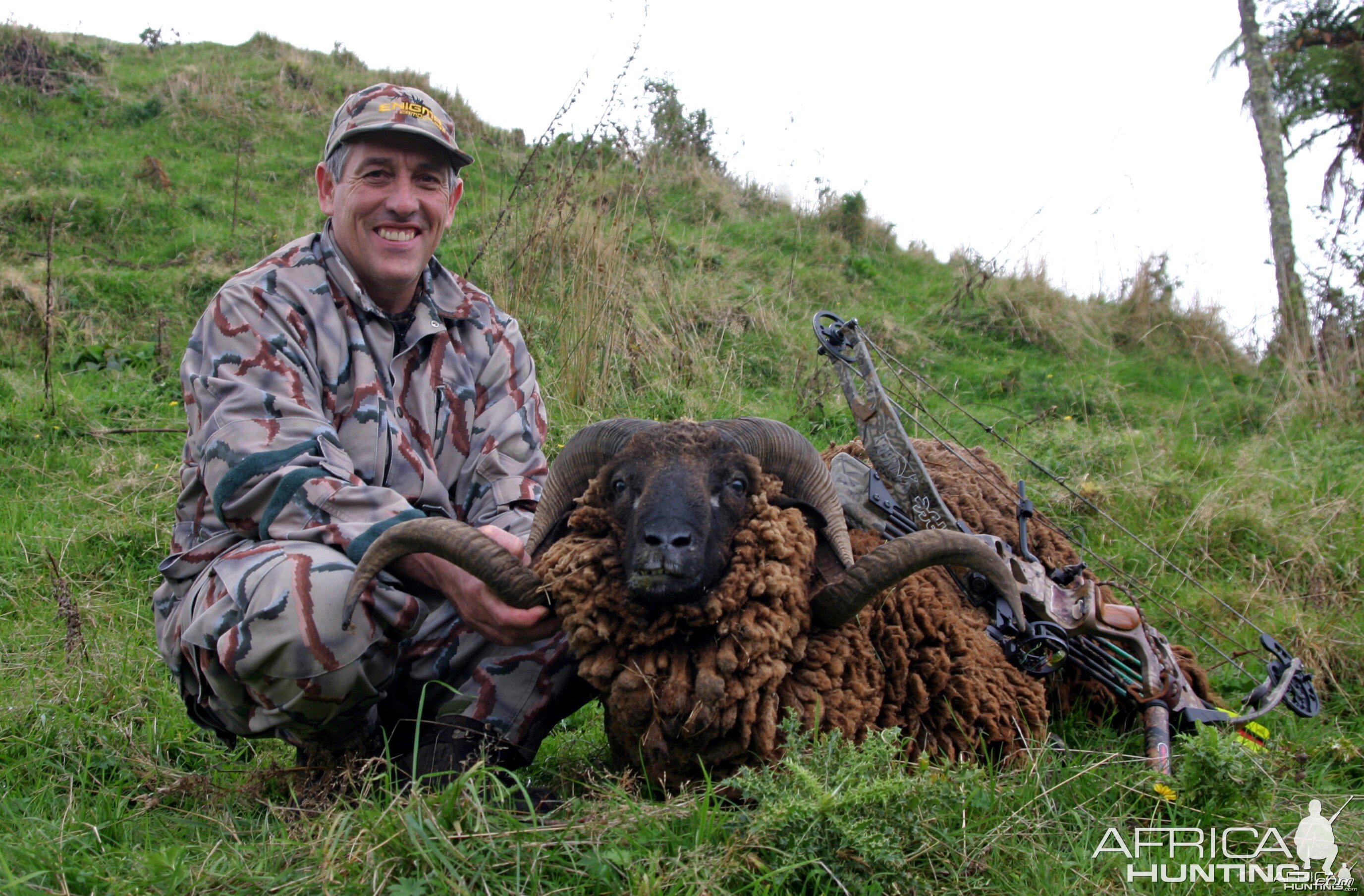 New Zealand Arawapa Ram-#4 SCI