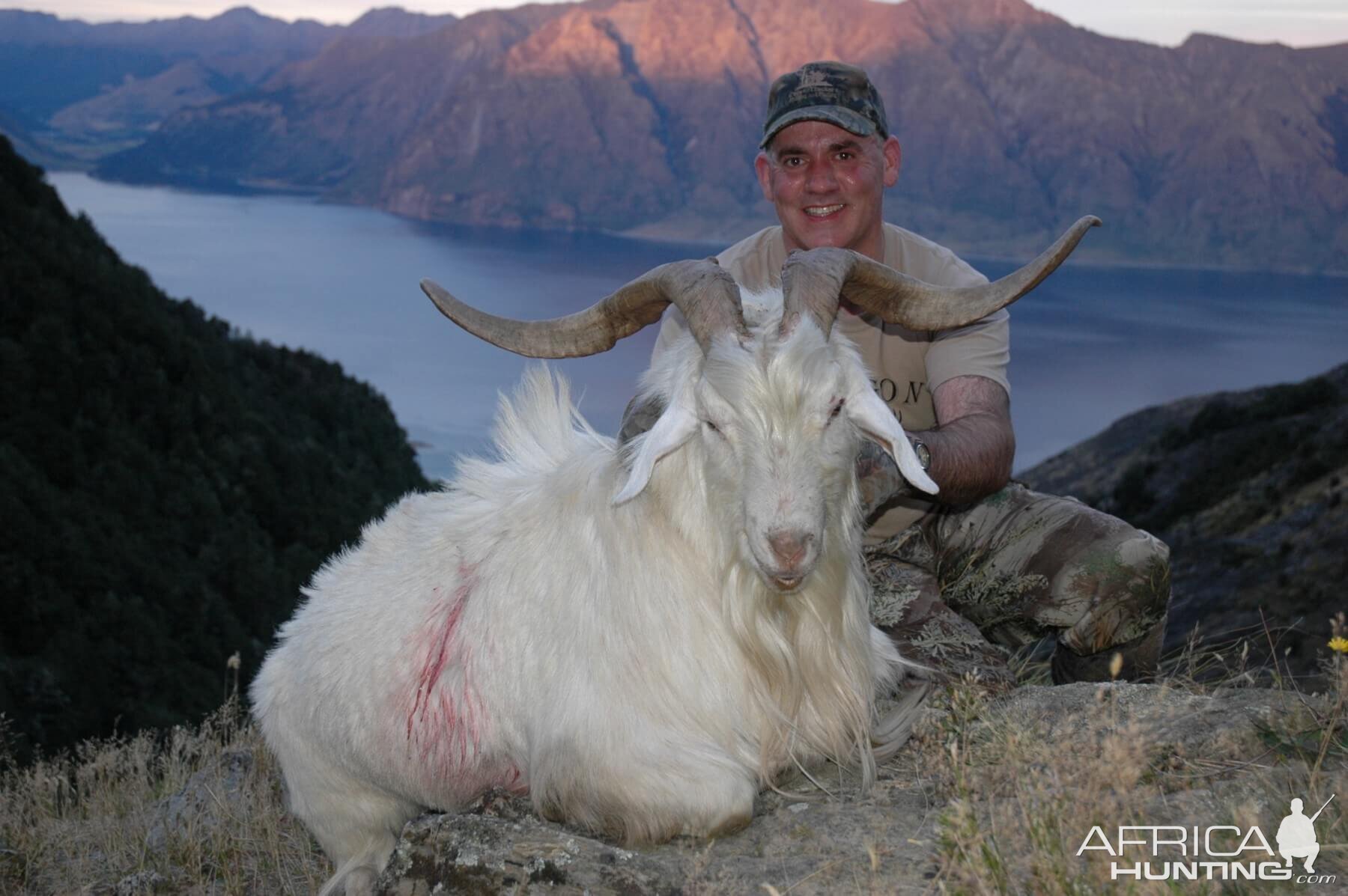 New Zealand Hunt Alpine Goat