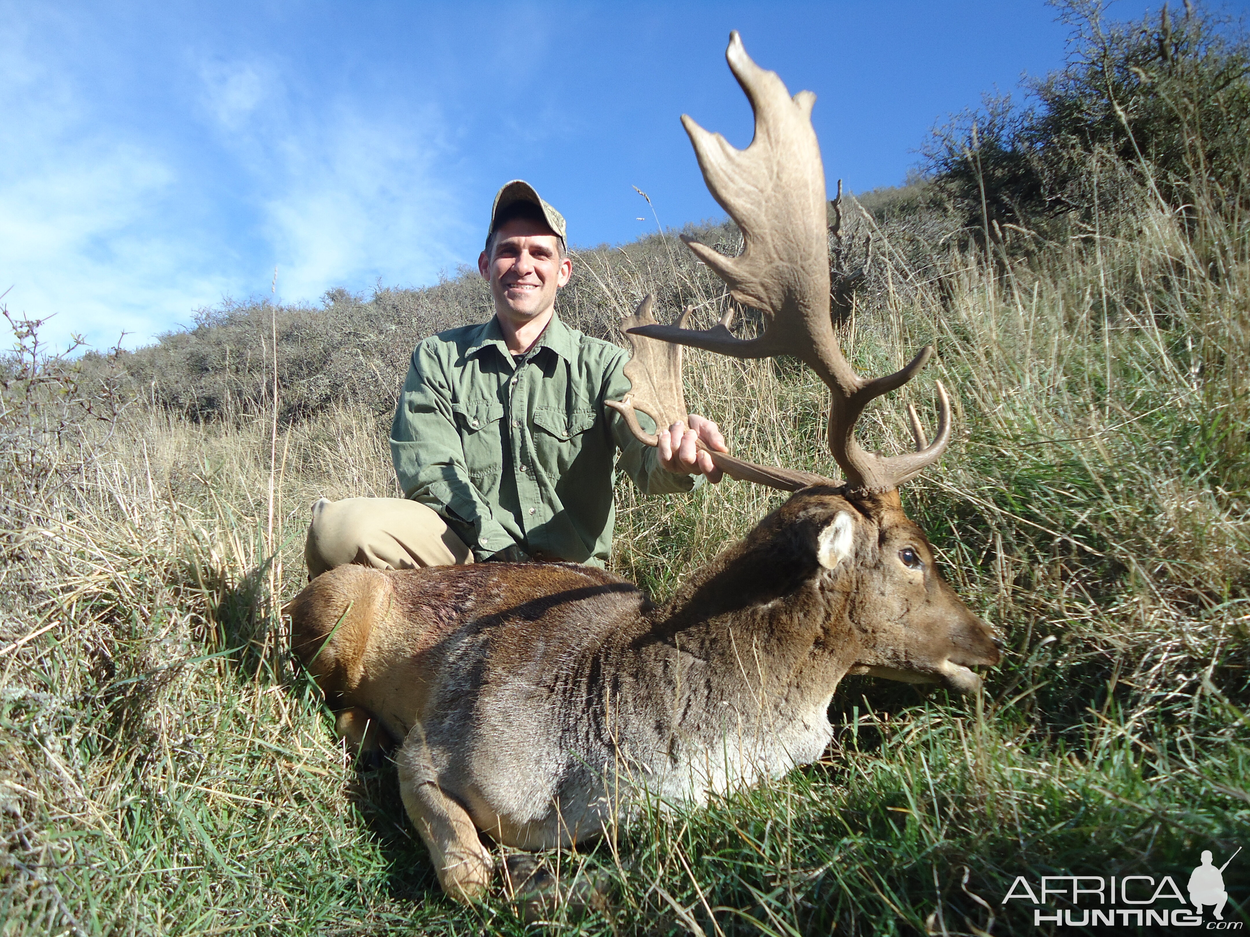 New Zealand Hunt Fallow Deer