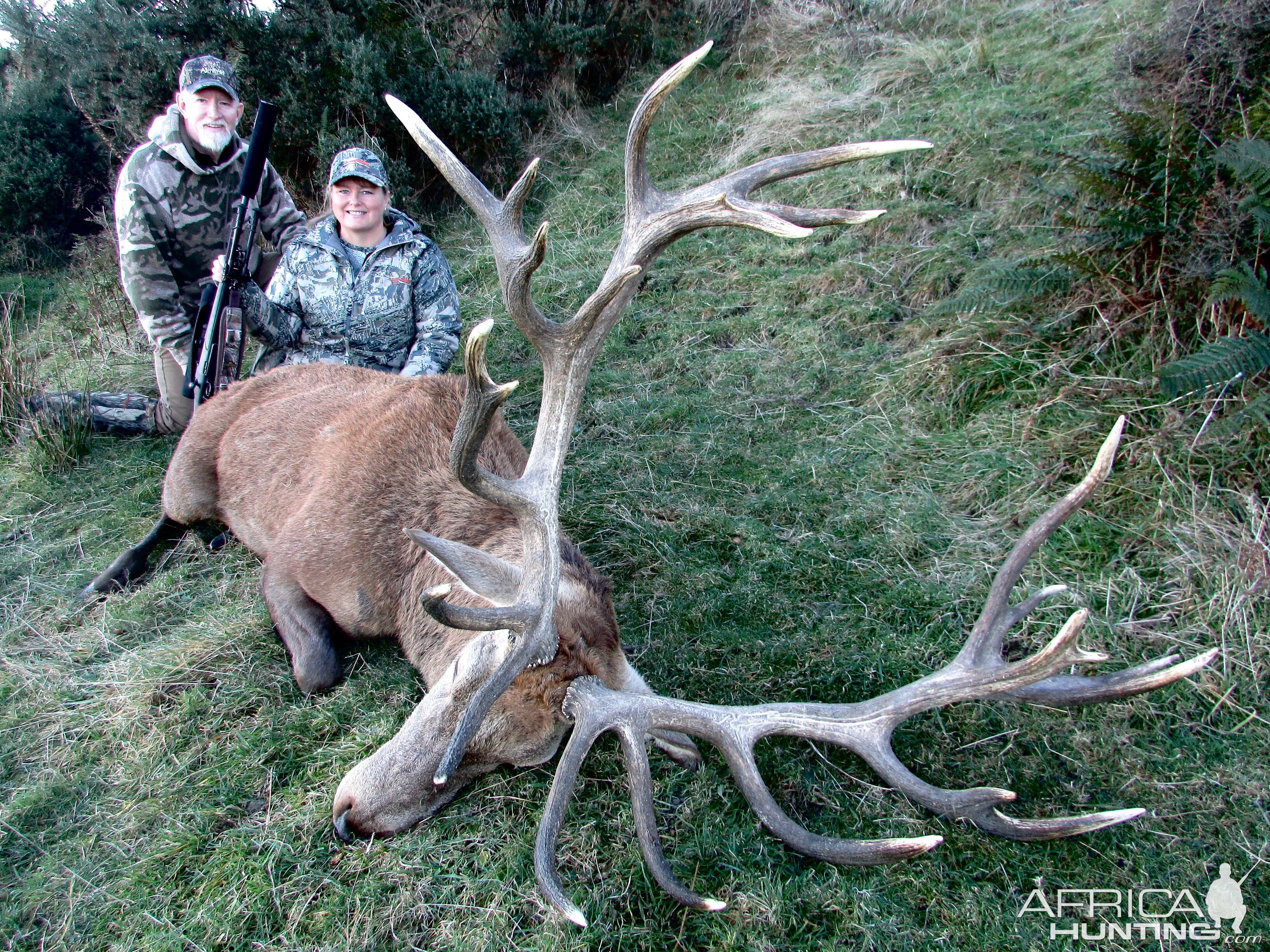 New Zealand Hunt Red Stag