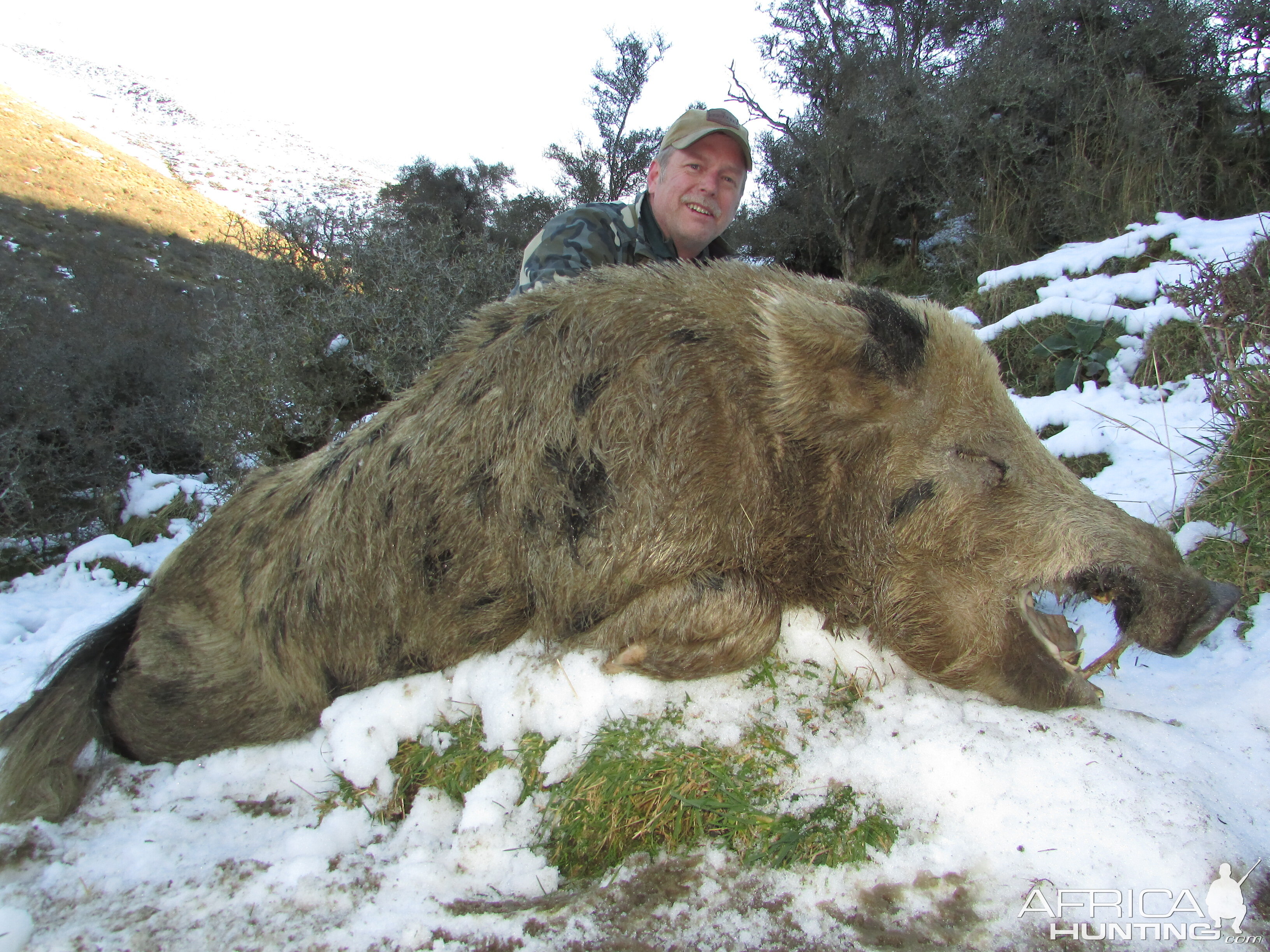 New Zealand Hunting Boar