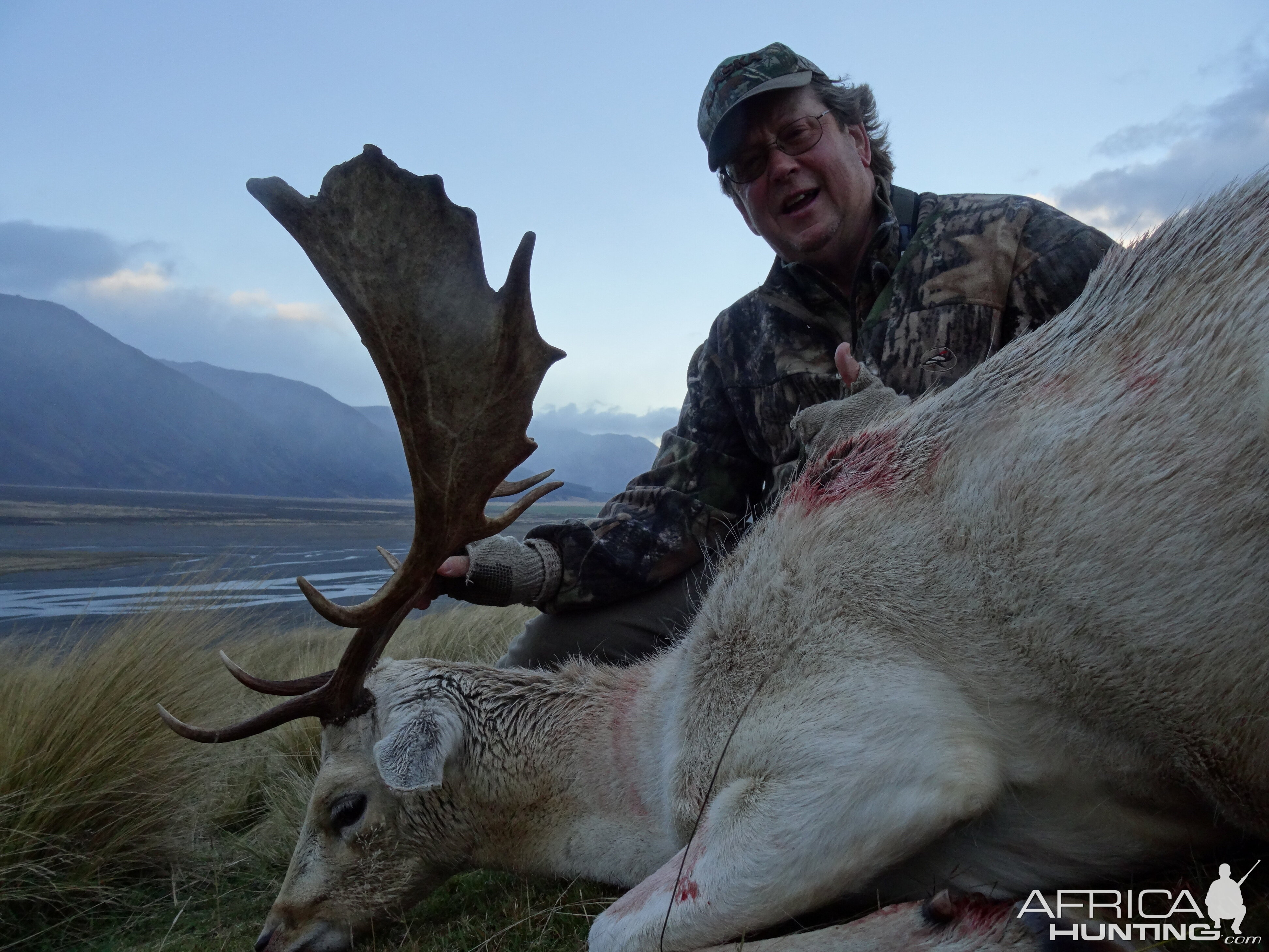 New Zealand Hunting Fallow Deer