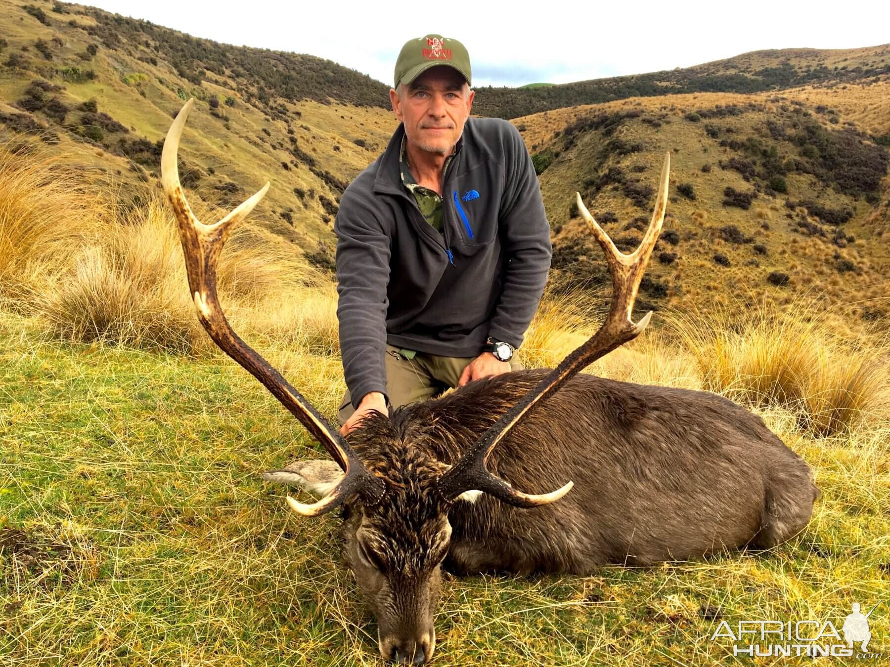 New Zealand Hunting Sika Deer