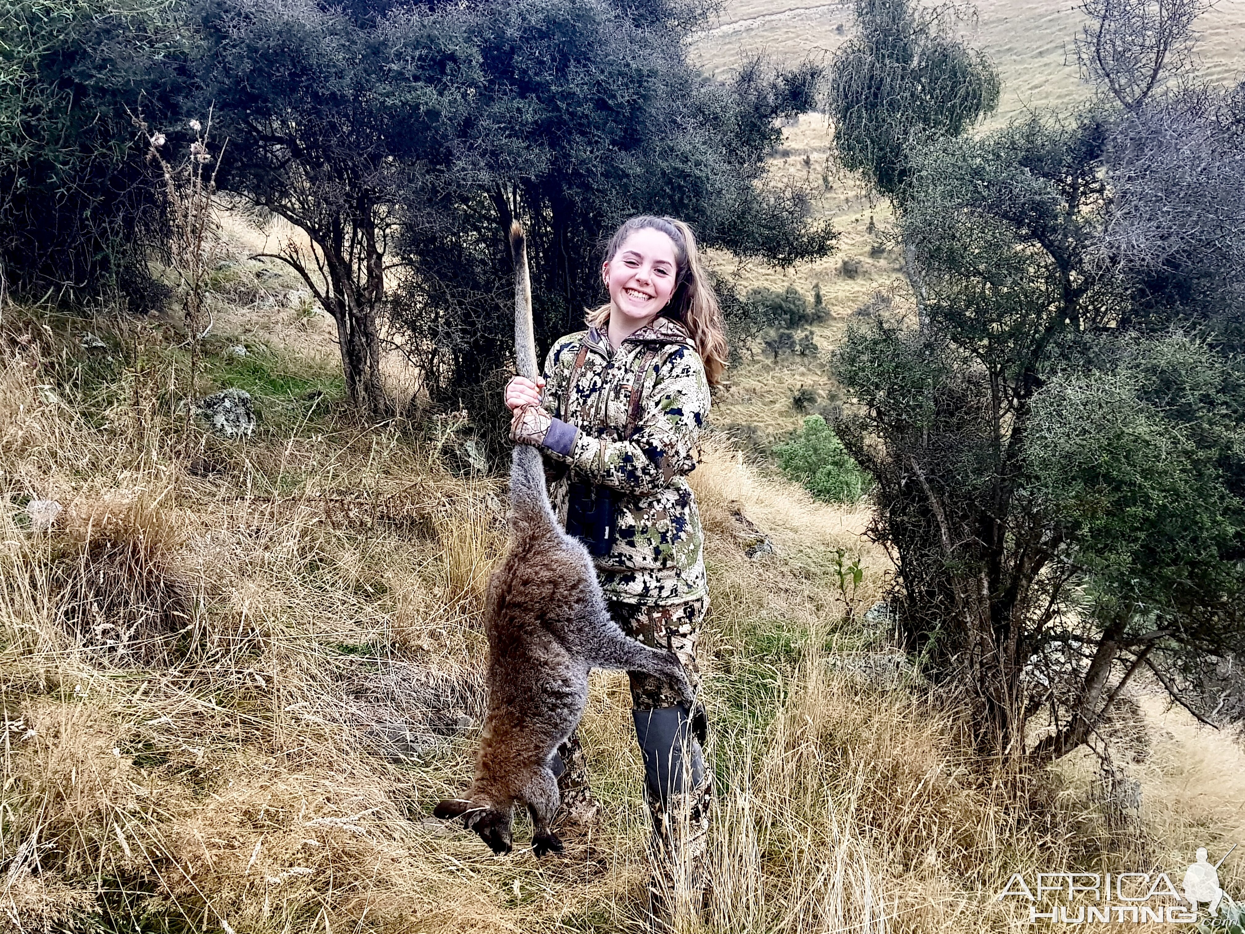 New Zealand Hunting Wallaby