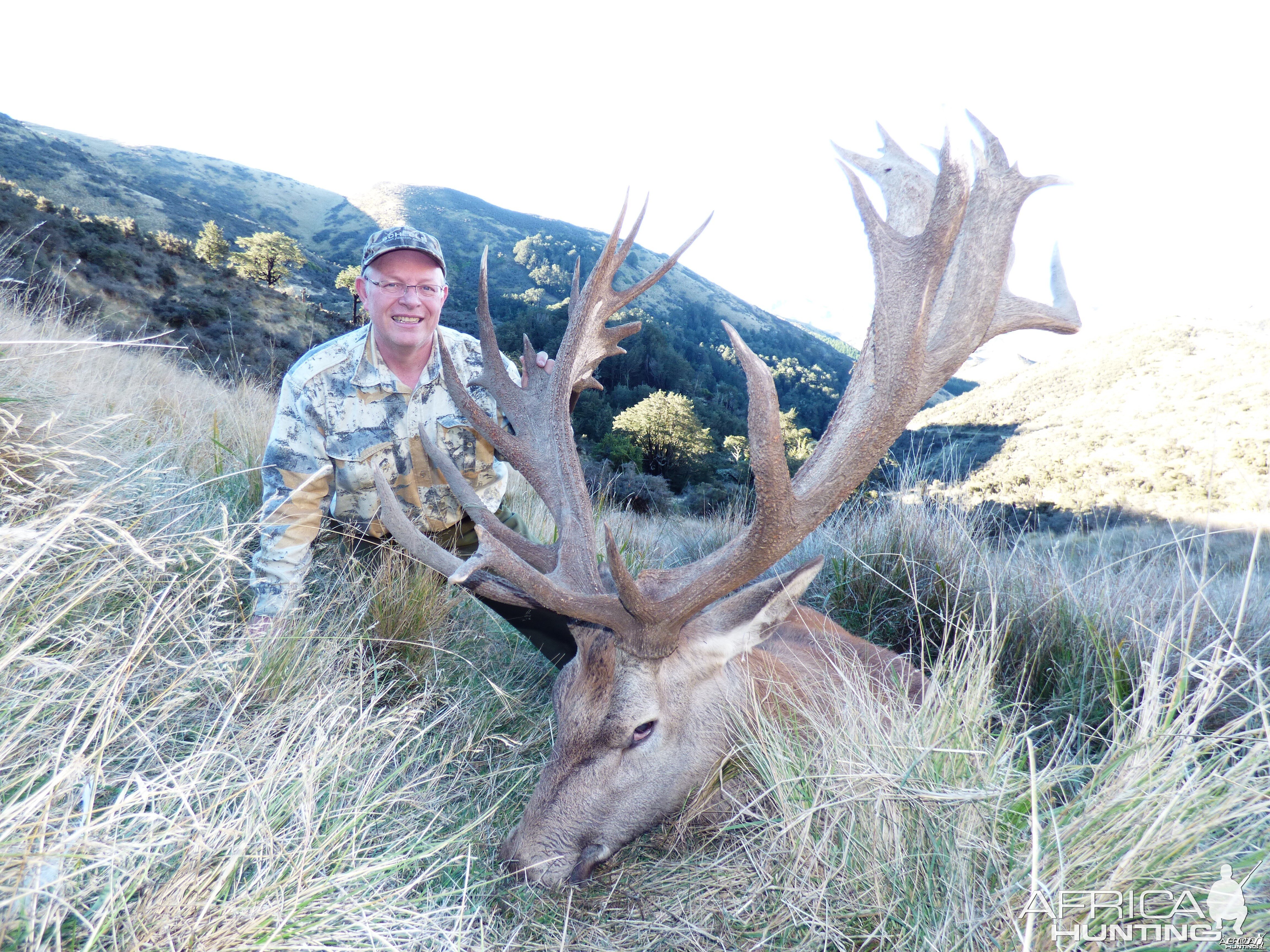 New Zealand Red Deer