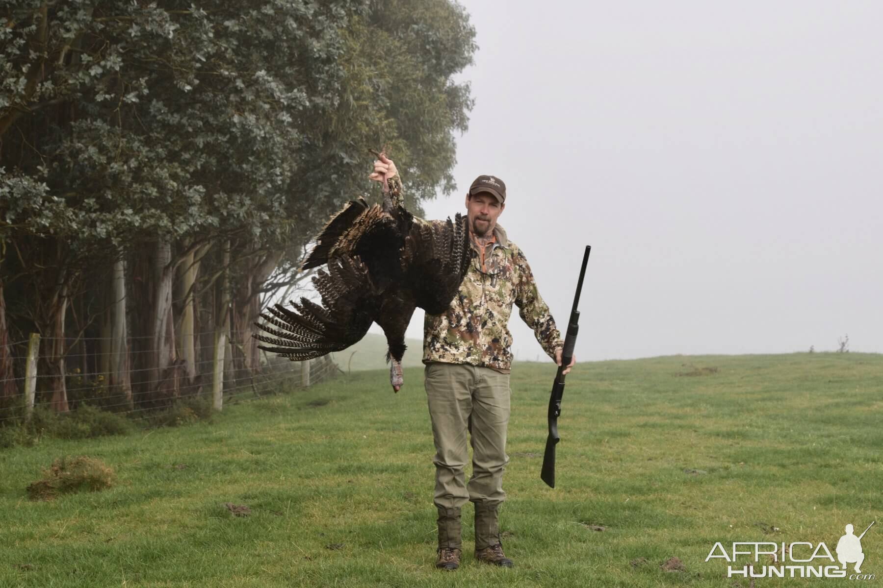 New Zealand Wing Shooting Turkey