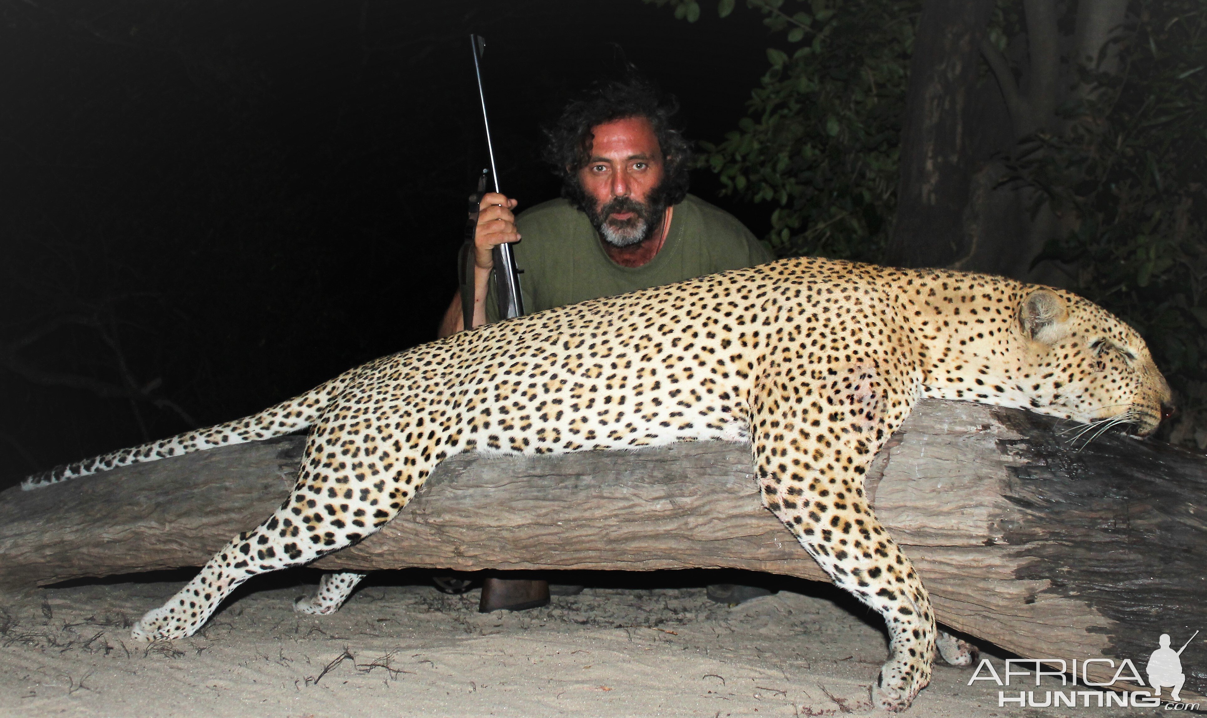 Nice Leopard - Selous