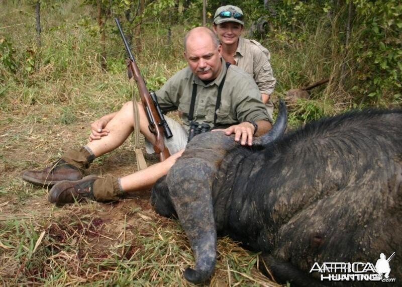 Nice old Buffalo bull hunted in Zimbabwe