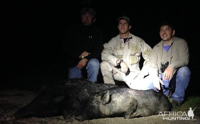 Night Vision and Thermal Pig Hunts