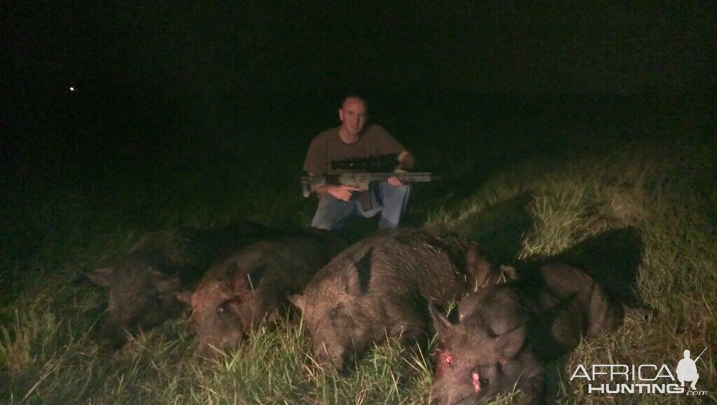 Night vision thermal pig hunts in Texas