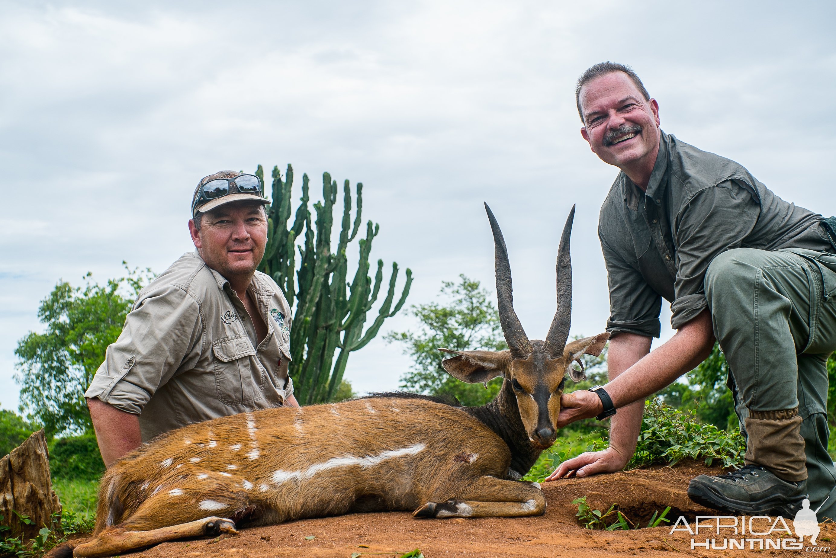 Nile Bushbuck Hunt