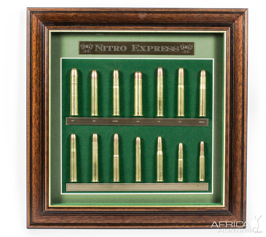 Nitro Express Medium Cartridge Board from African Sporting Creations