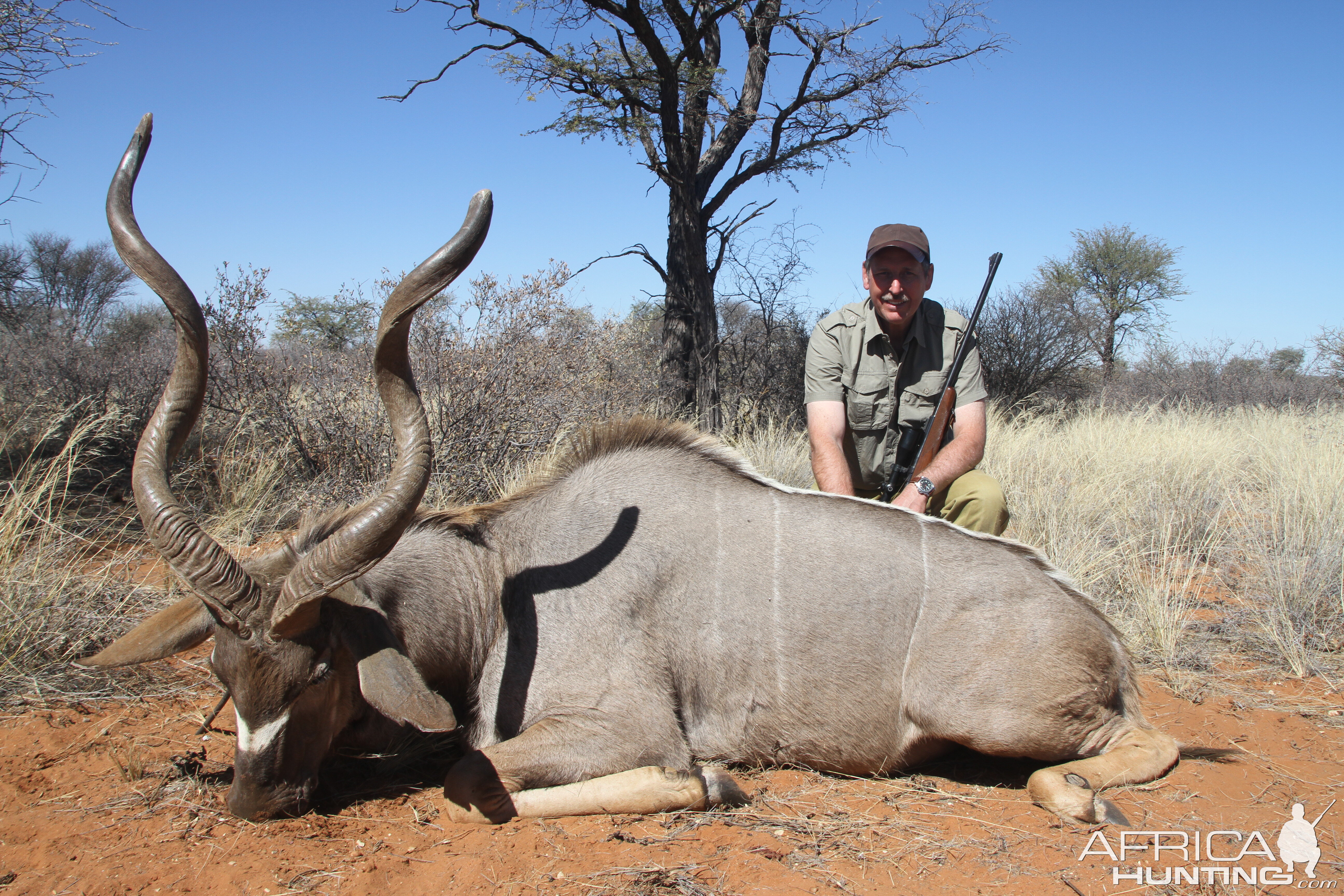 Non-trophy Hunting Kudu Namibia