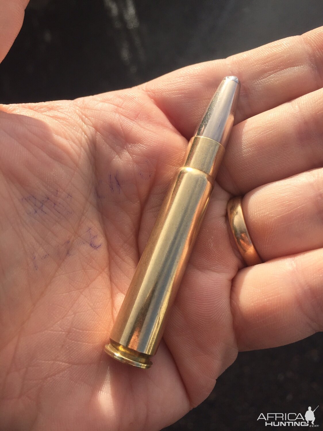 Norma Alaska nickel coated bullet