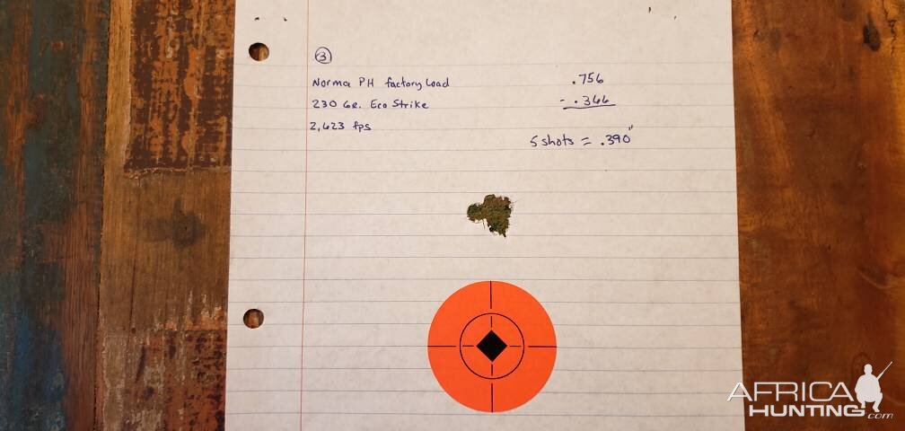 Norma PH 230 gr Ecostrike Range Shots