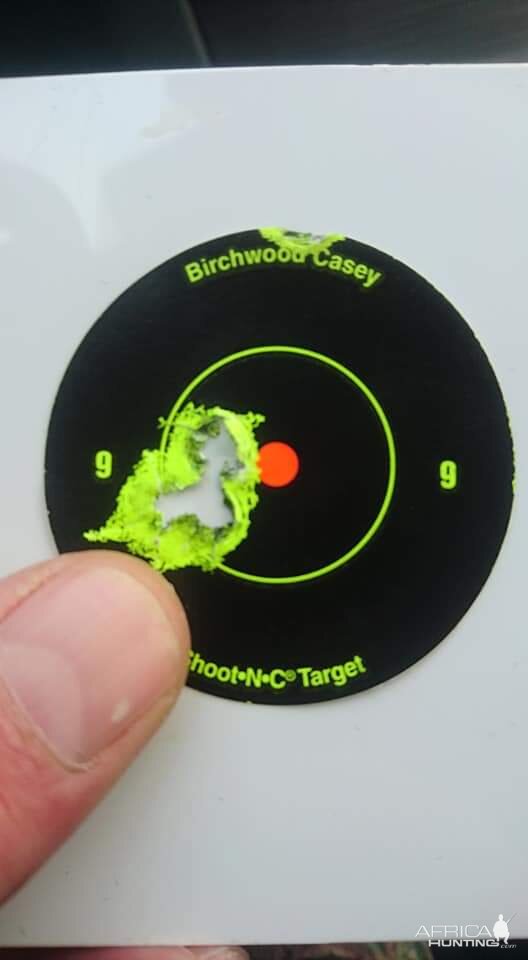Norma TipStrike Range Shots