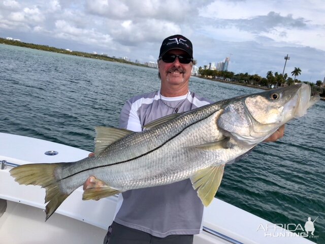 North Miami Beach USA Fishing Snook