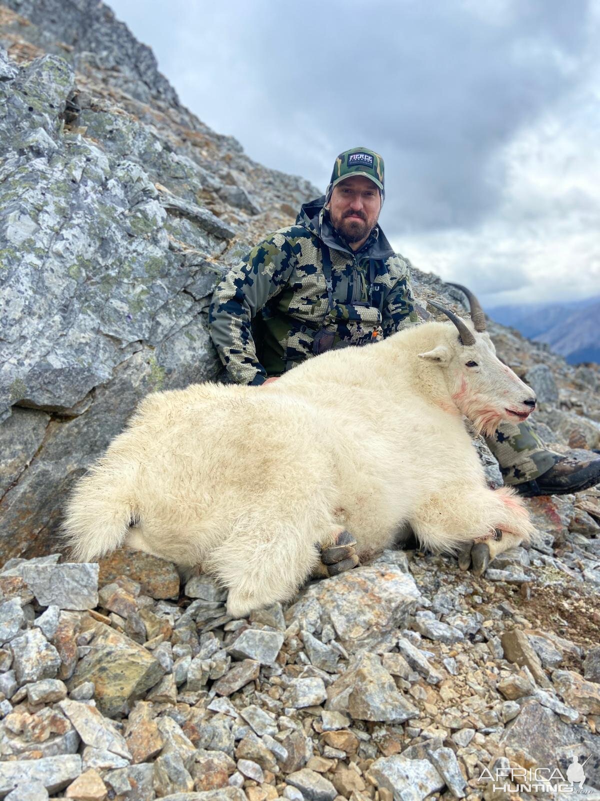 Northern British Columbia Canada Hunt Mountain Goat