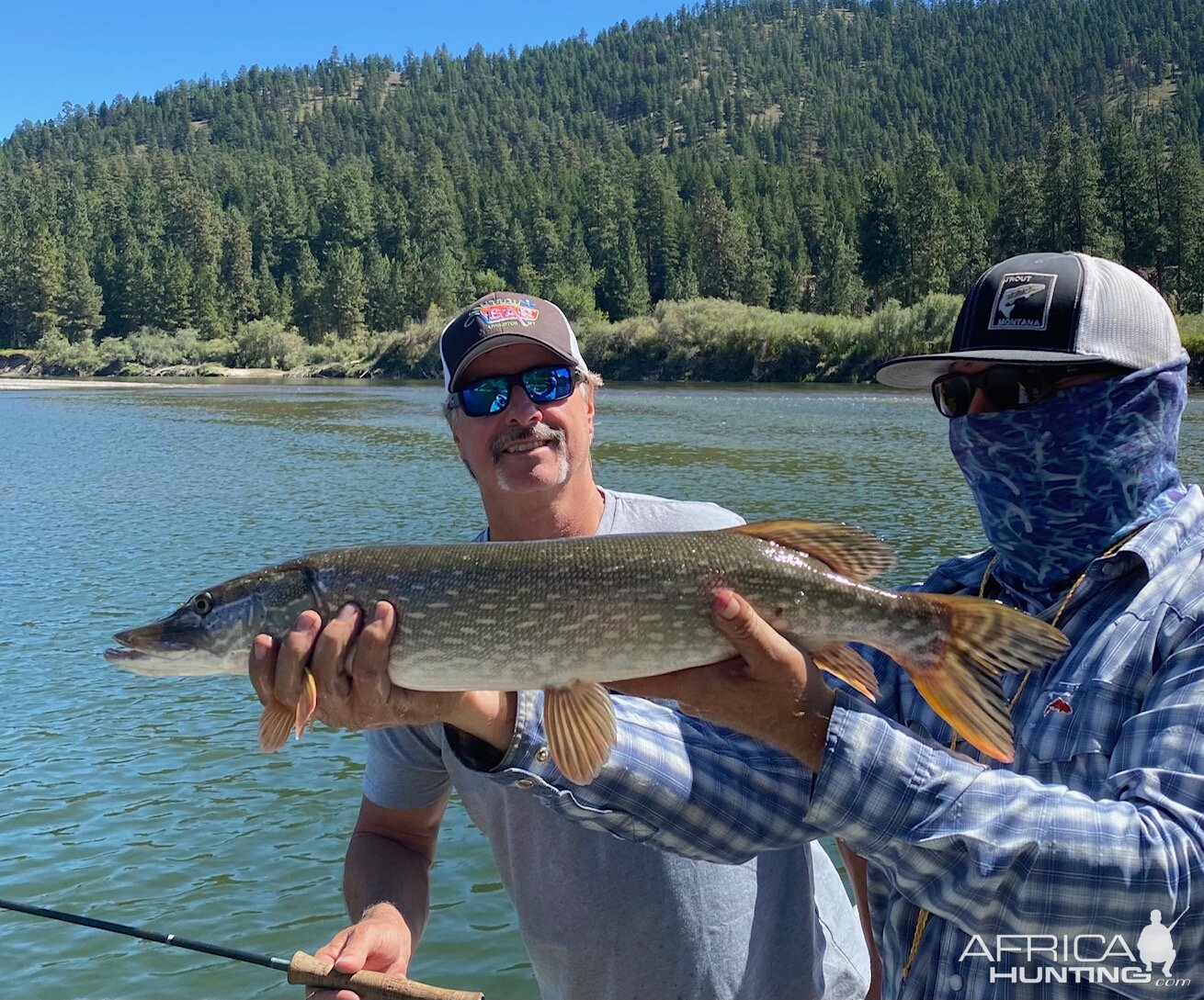 Northern Pike Fishing