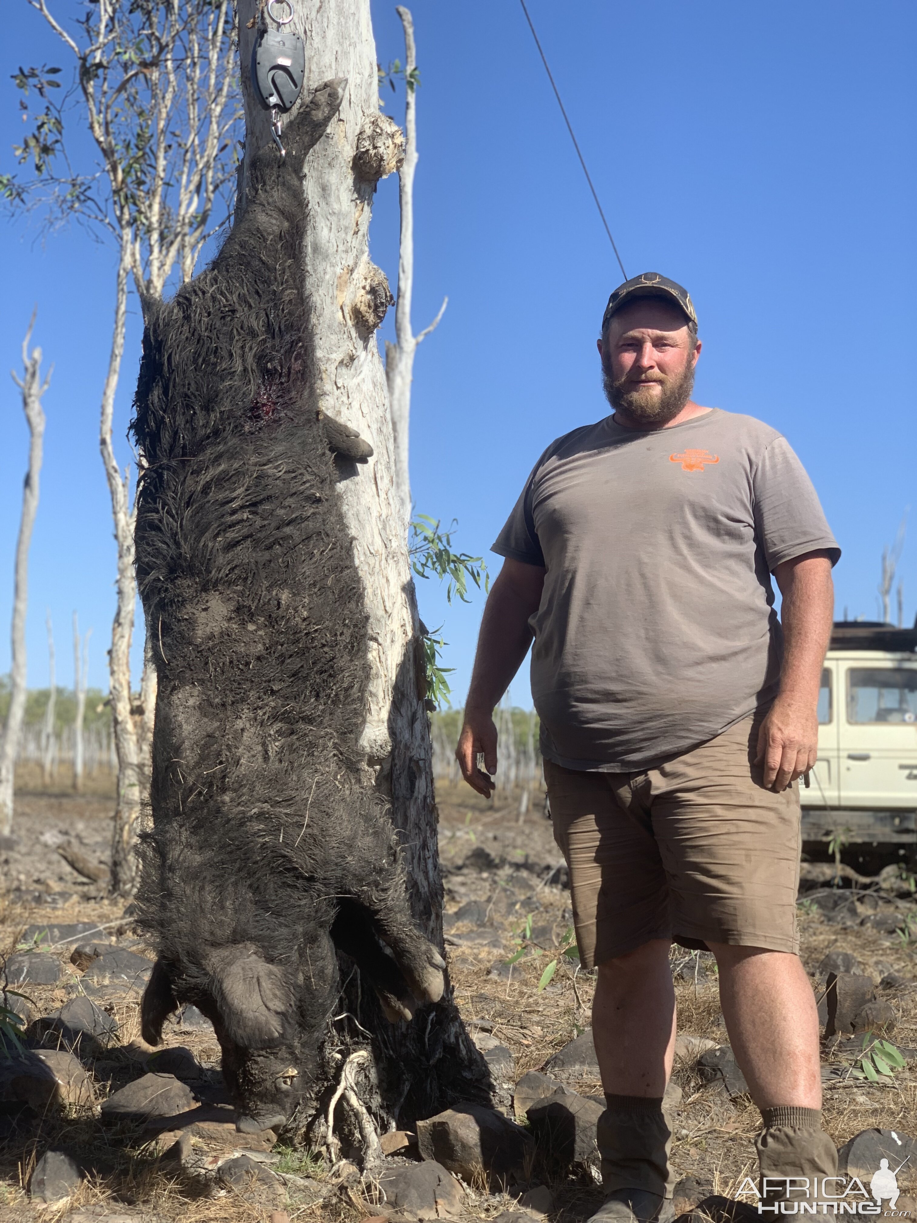 Northern Territory Australia Hunting Boar