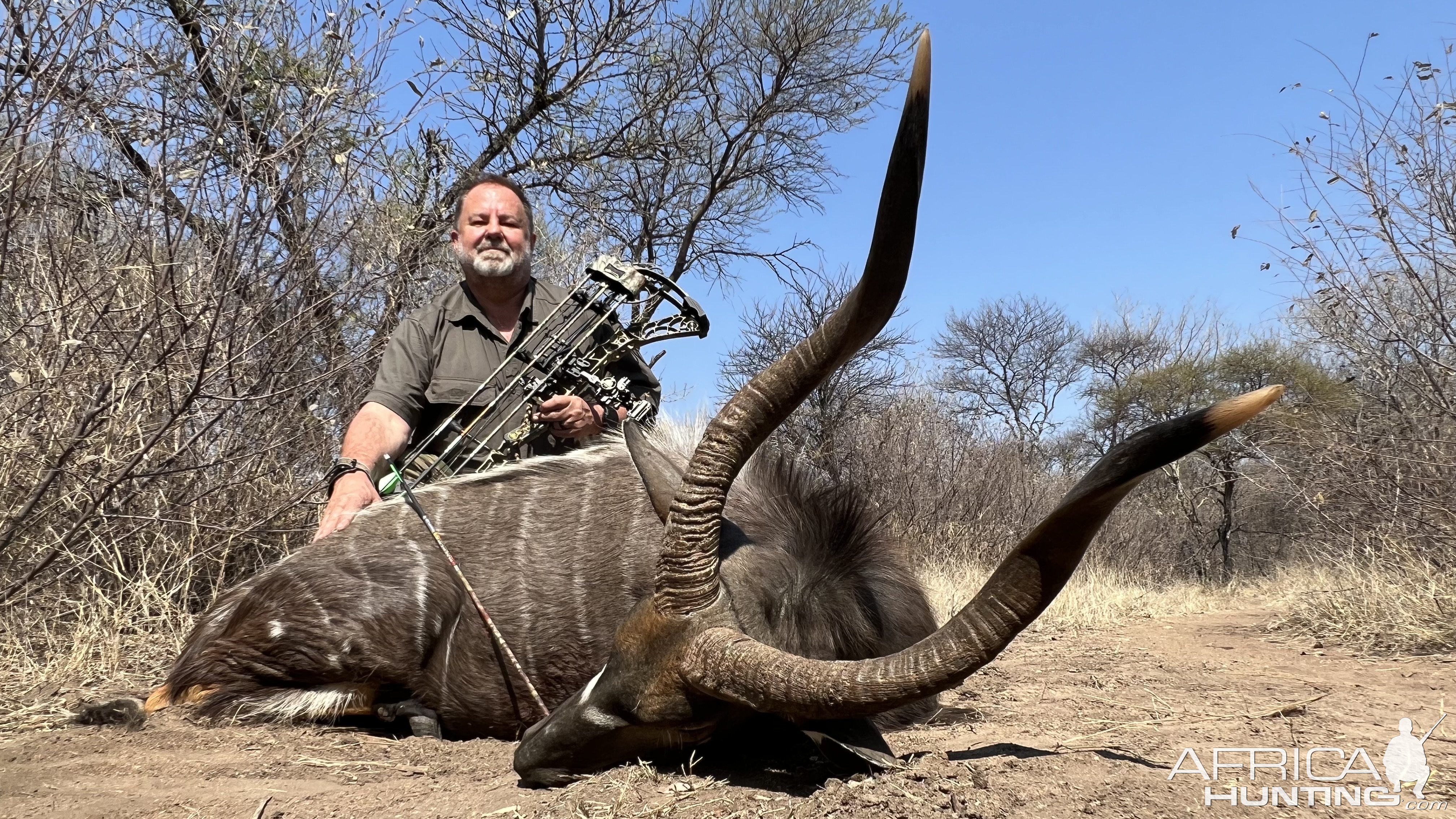 Nyala Bow Hunt Limpopo South Africa