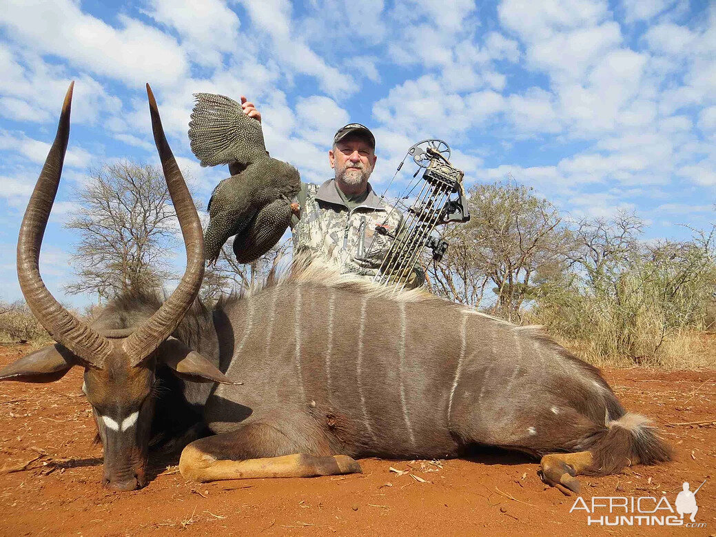 Nyala Bow Hunt South Africa