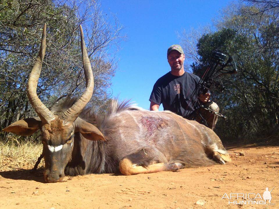 Nyala Bow Hunt South Africa