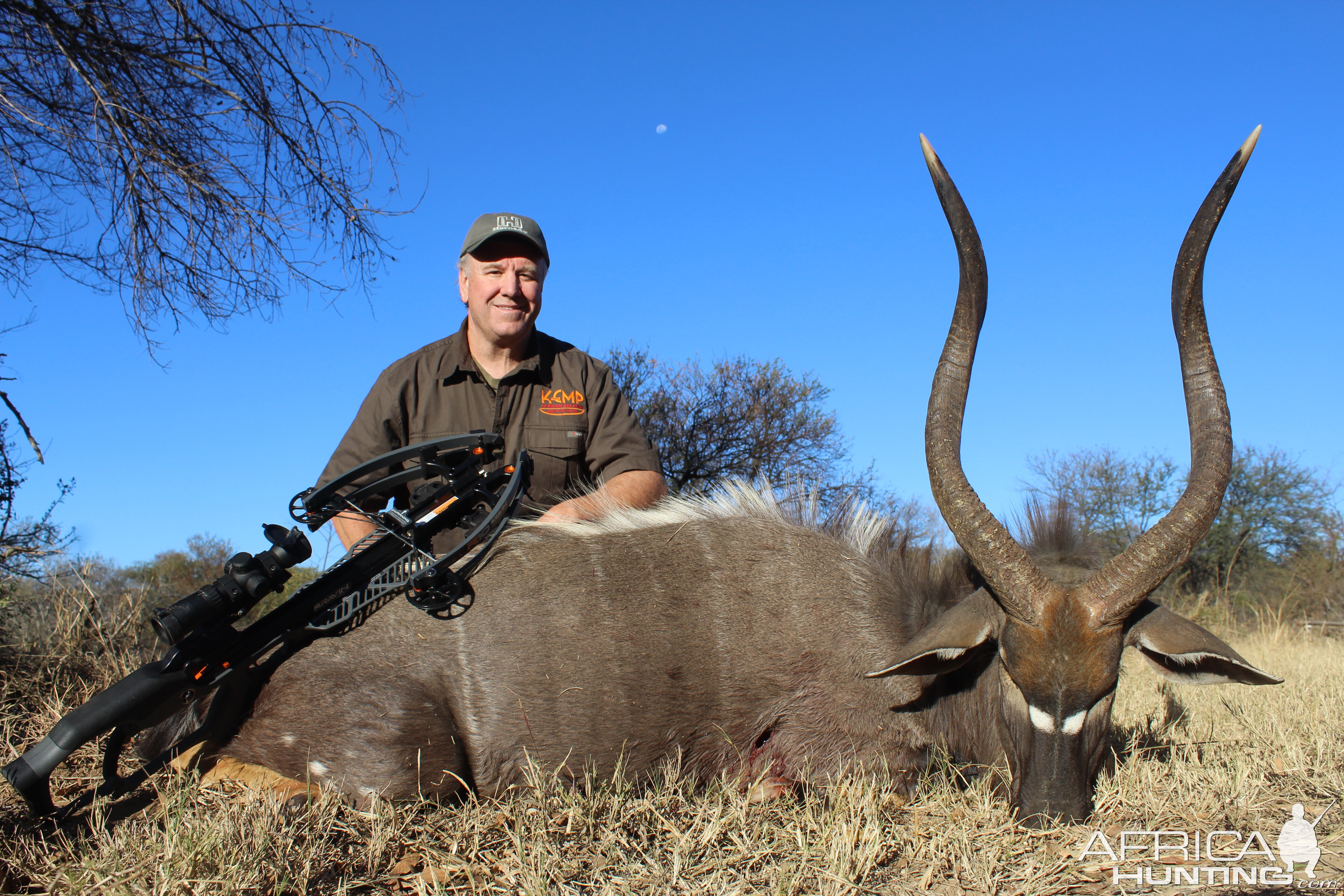 Nyala Bow Hunting Waterberg Mountains Limpopo province of South Africa