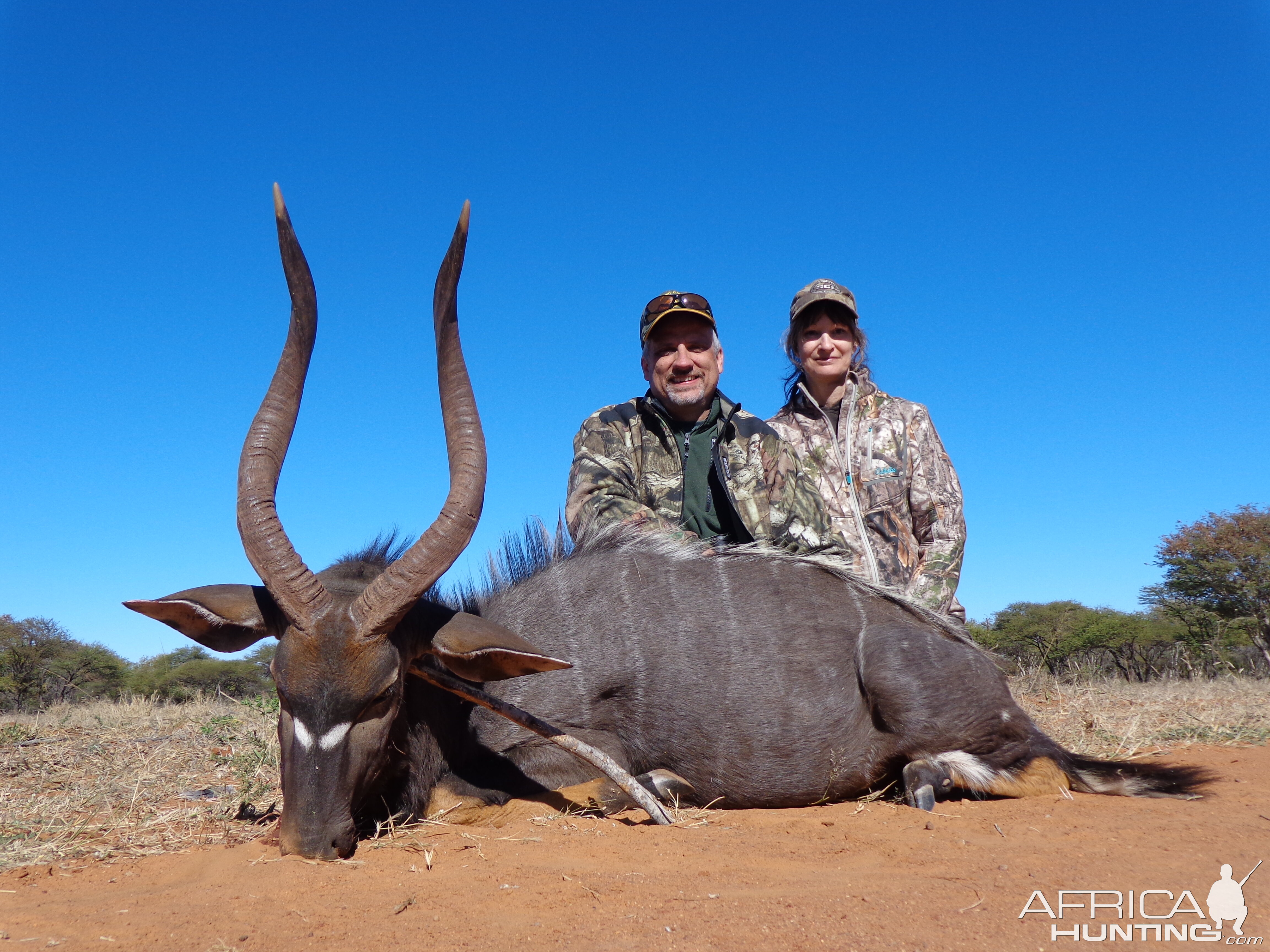 Nyala Hunt South Africa