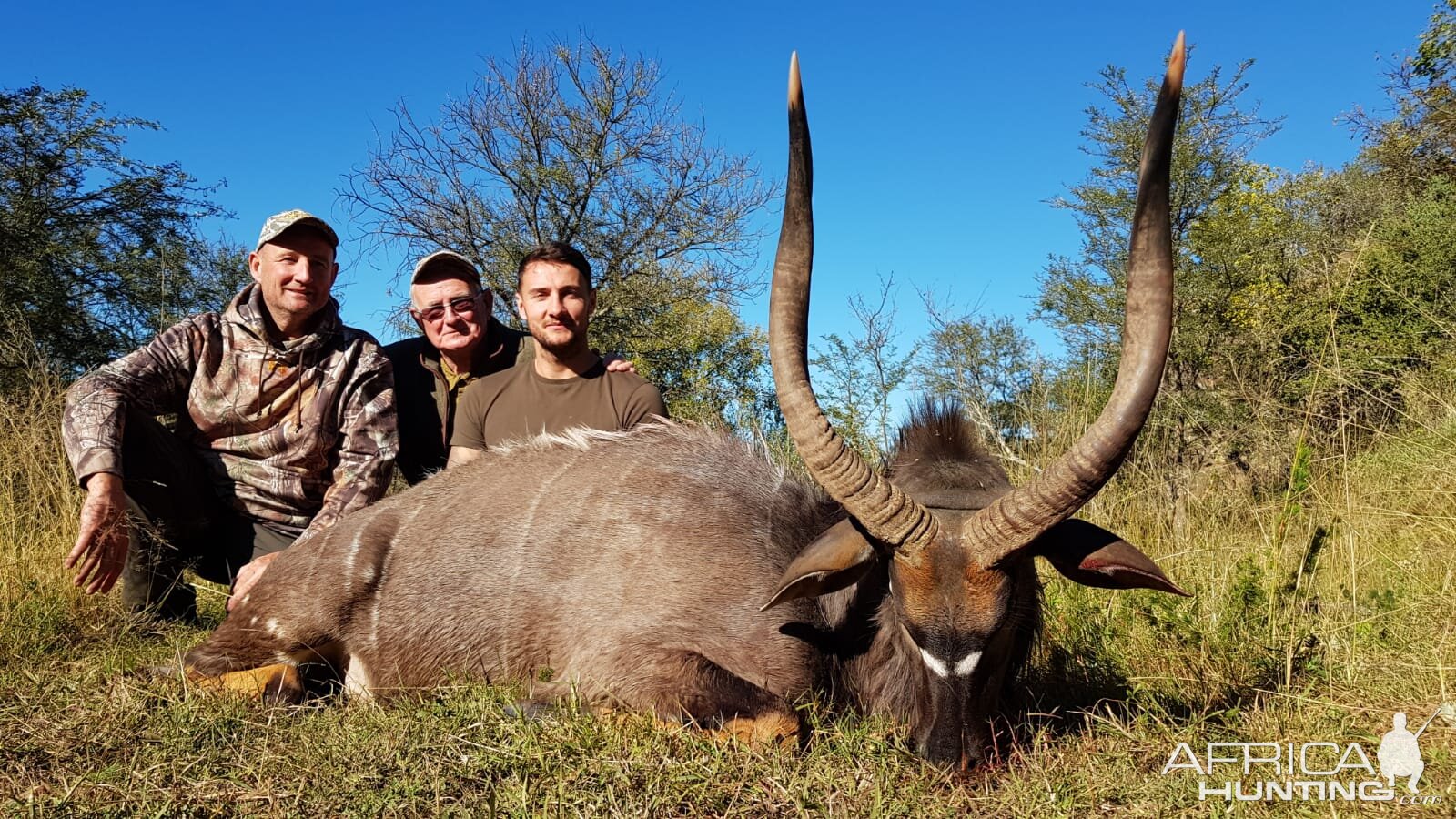 Nyala Hunt South Africa