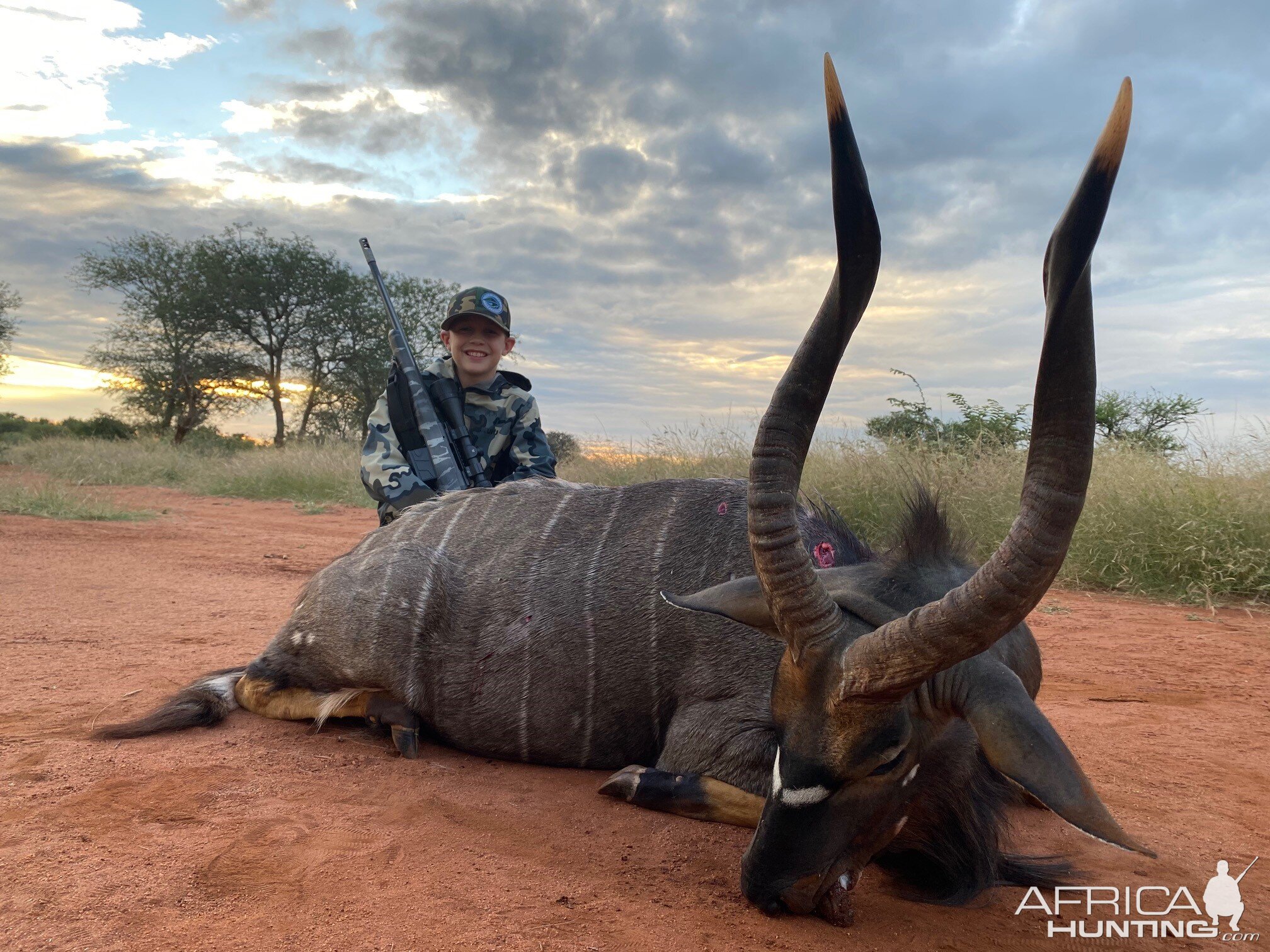 Nyala Hunt South Africa