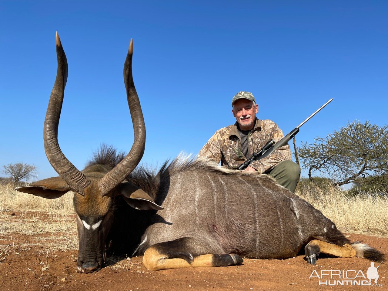 Nyala Hunt South Africa